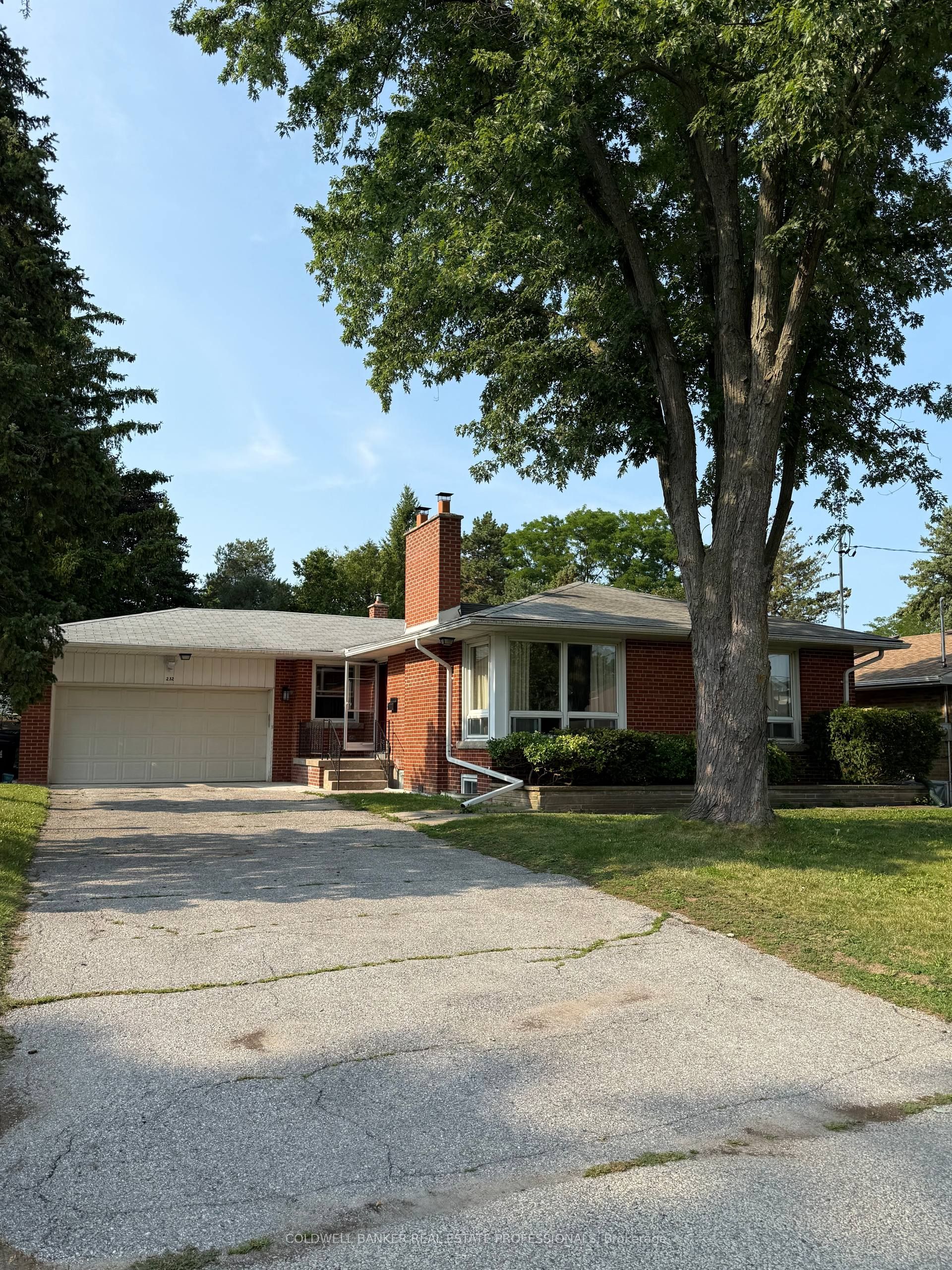 232 Newton Drive Basement B, Toronto, On M2m 2p3