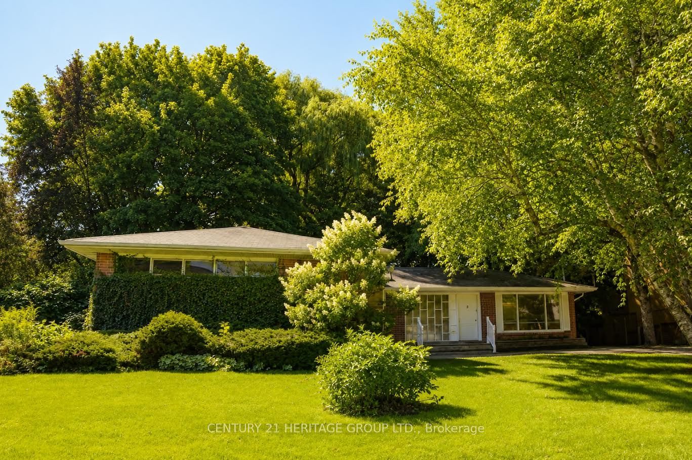 17 Hi Mount Drive Main, Toronto, On M2k 1x3