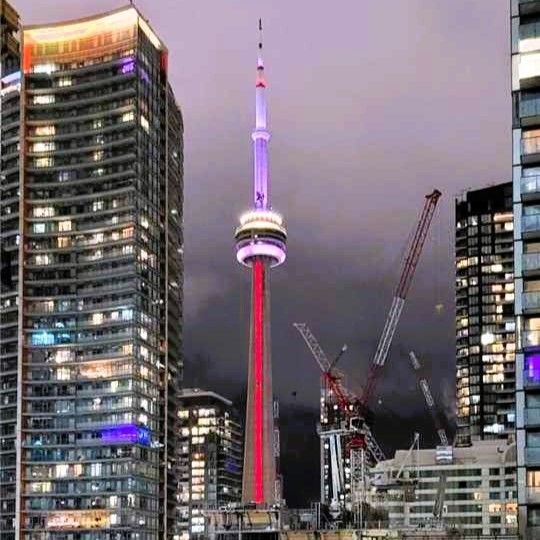 125 Peter Street 1110, Toronto, On M5v 0m2
