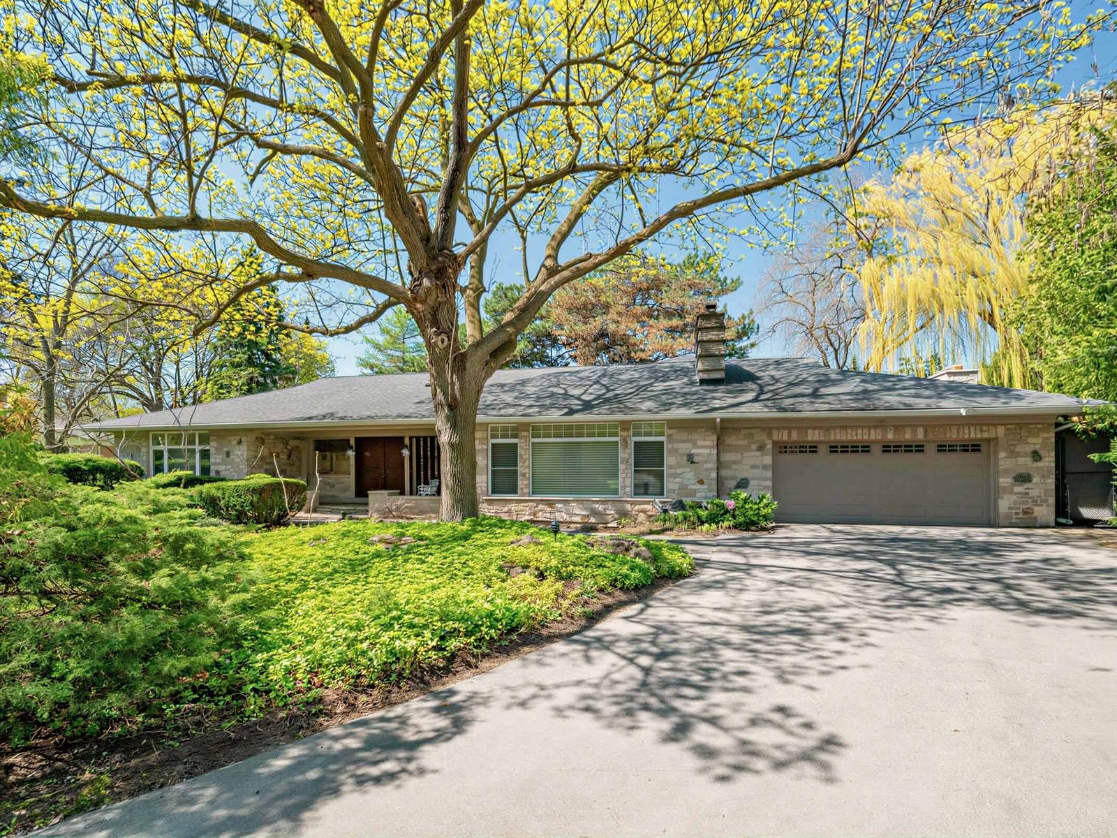 11 Mead Court, Toronto, On M2l 2a5