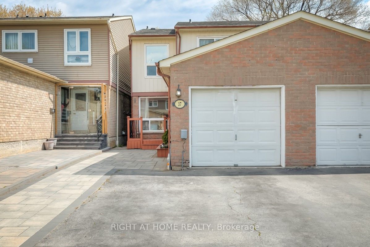 37 Mcknight Drive, Toronto, On M1b 2z4