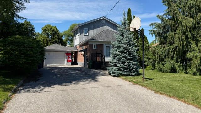 78 Cree Avenue Bsmt, Toronto, On M1m 1z8