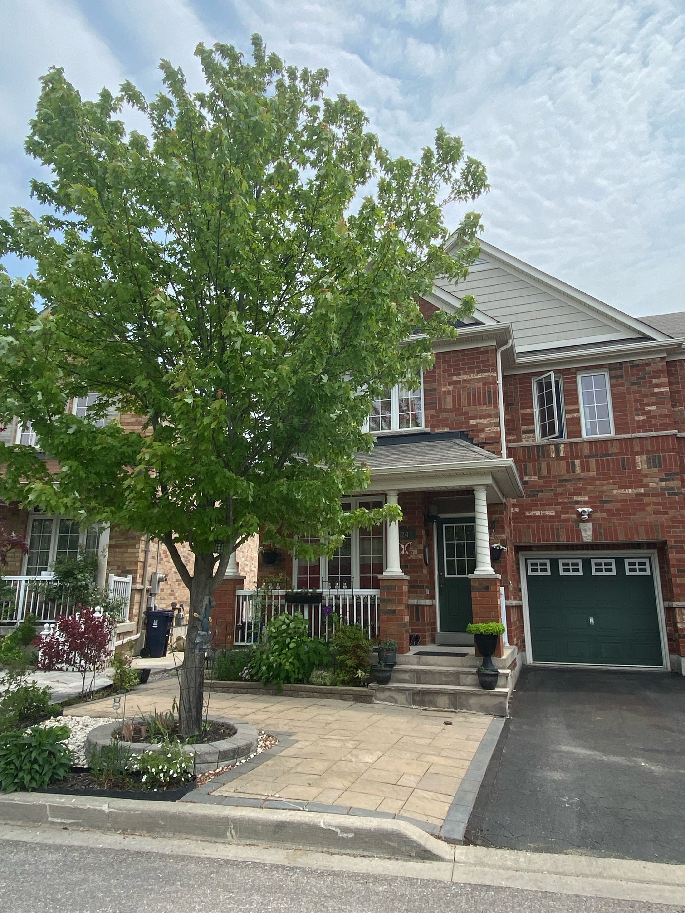 24 Dairy Drive Bsmt, Toronto, On M1l 0g2
