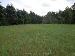 6 Tioga Boulevard, Adjala-Tosorontio, On L0m 1j0
