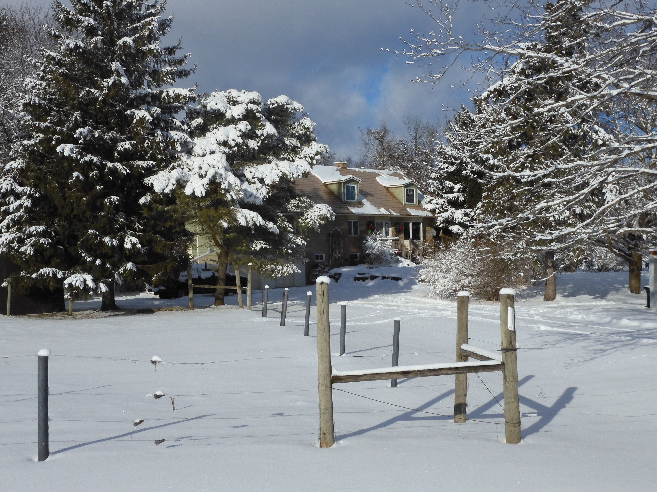 6824 10th Line, New Tecumseth, On L0g 1a0