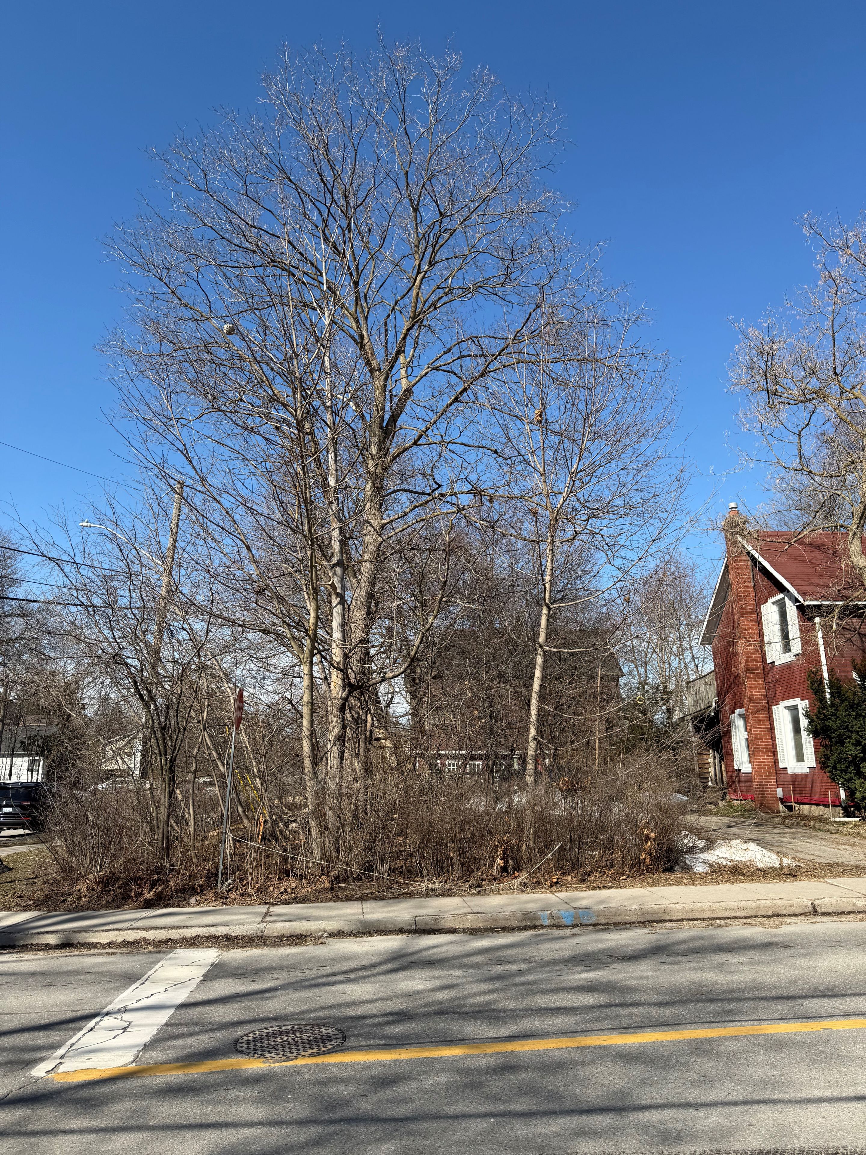 67 Richmond Street, Richmond Hill, On L4c 3y3