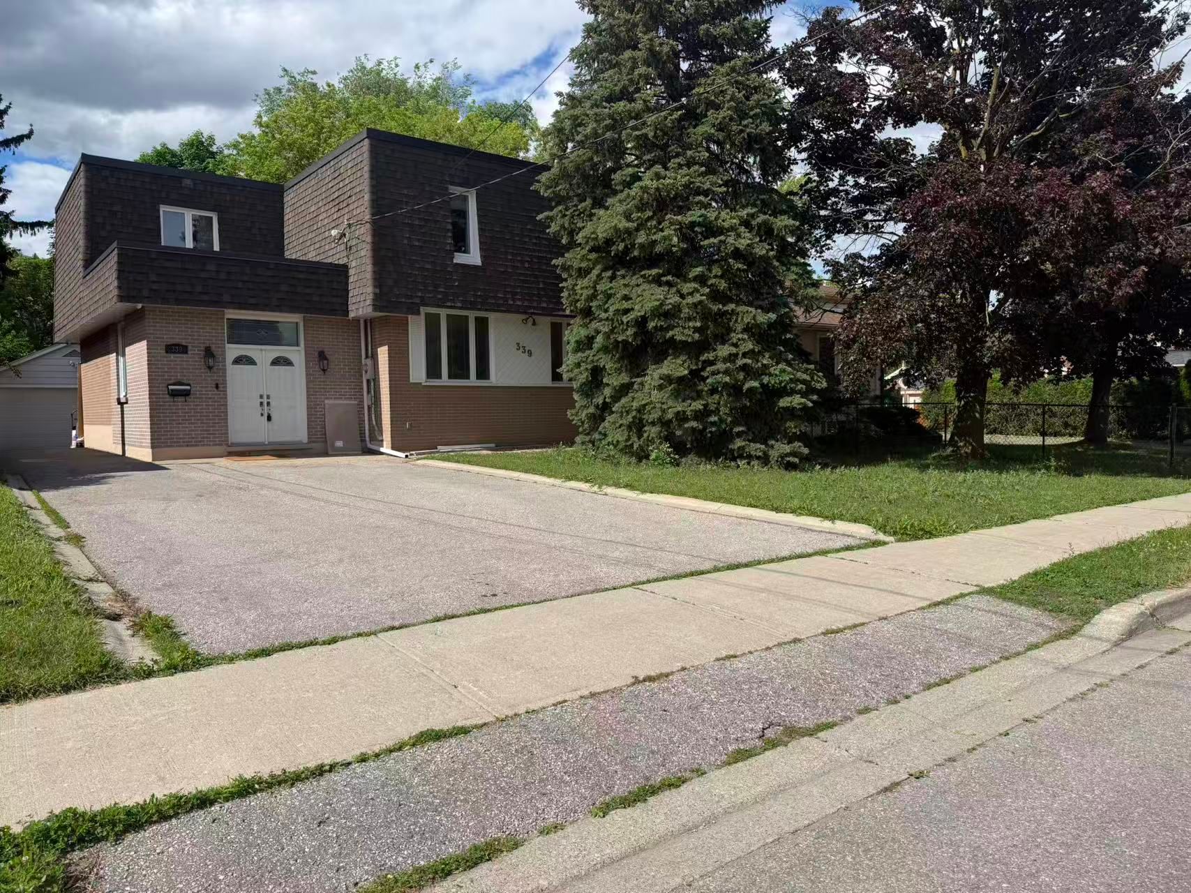 339 Elmwood Avenue Basement, Richmond Hill, On L4c 1l7