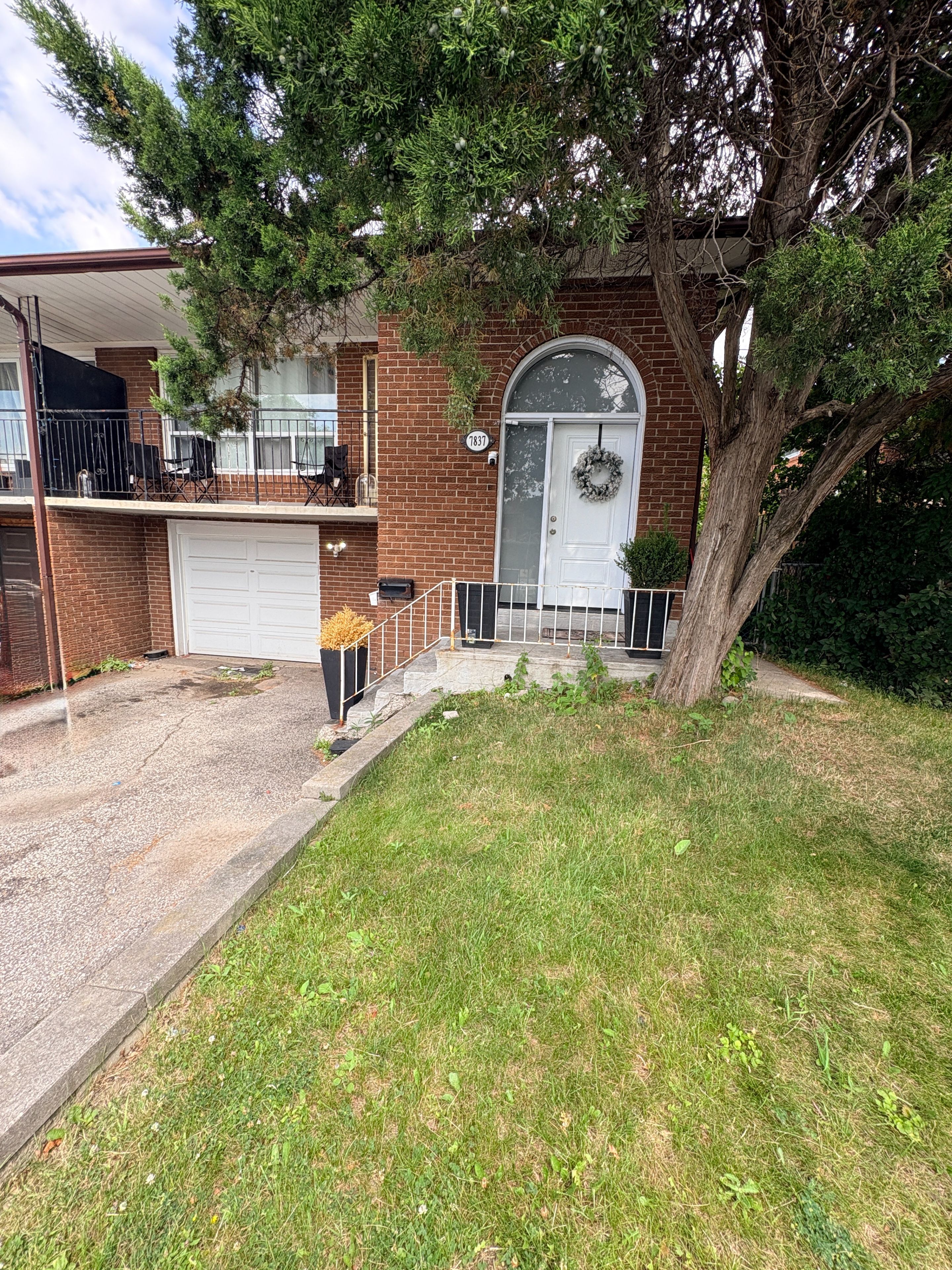 7837 Martin Grove Road Basement, Vaughan, On L4l 2c8