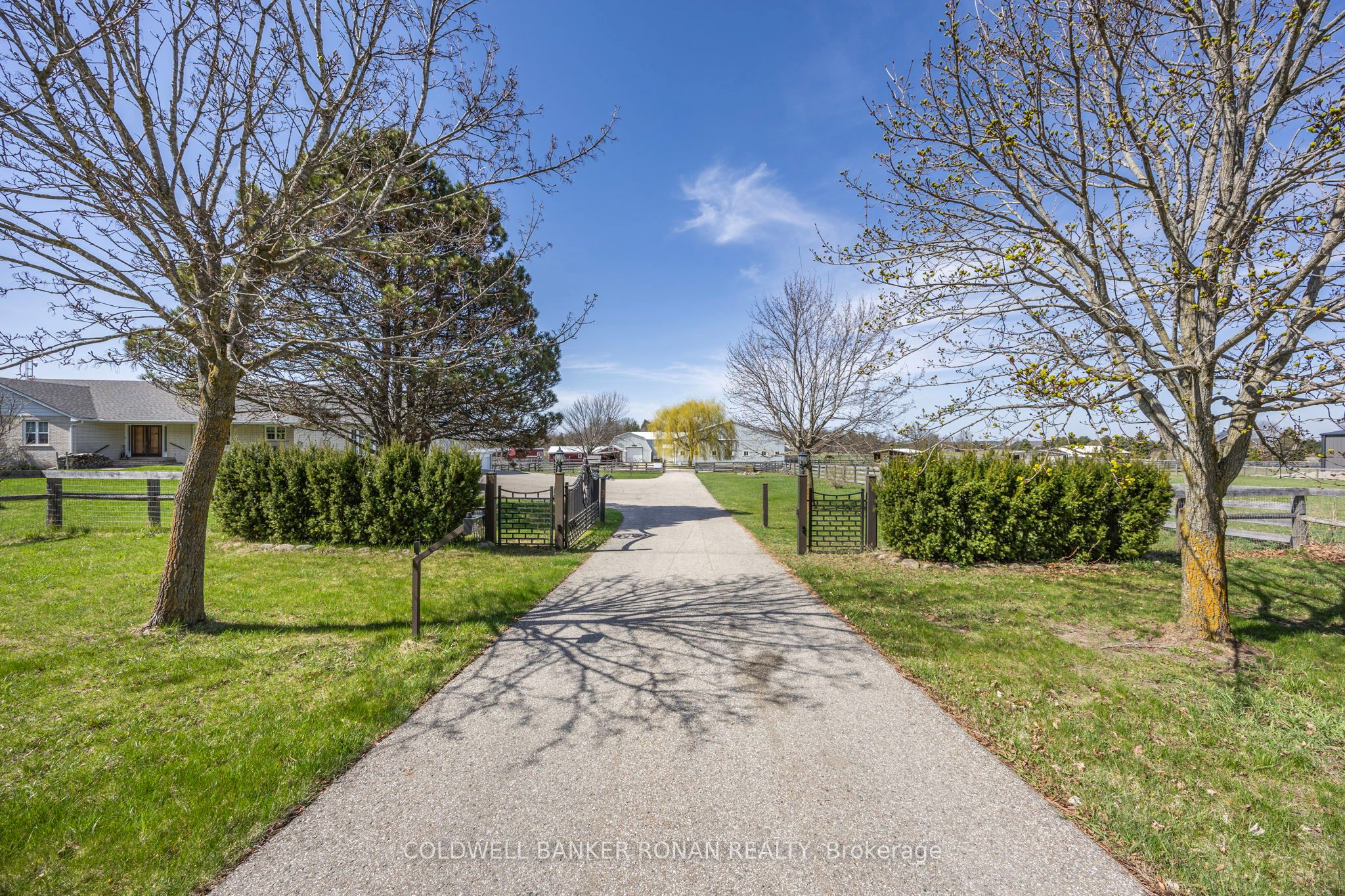 8058 20th Side Road, Adjala-Tosorontio, On L0g 1l0