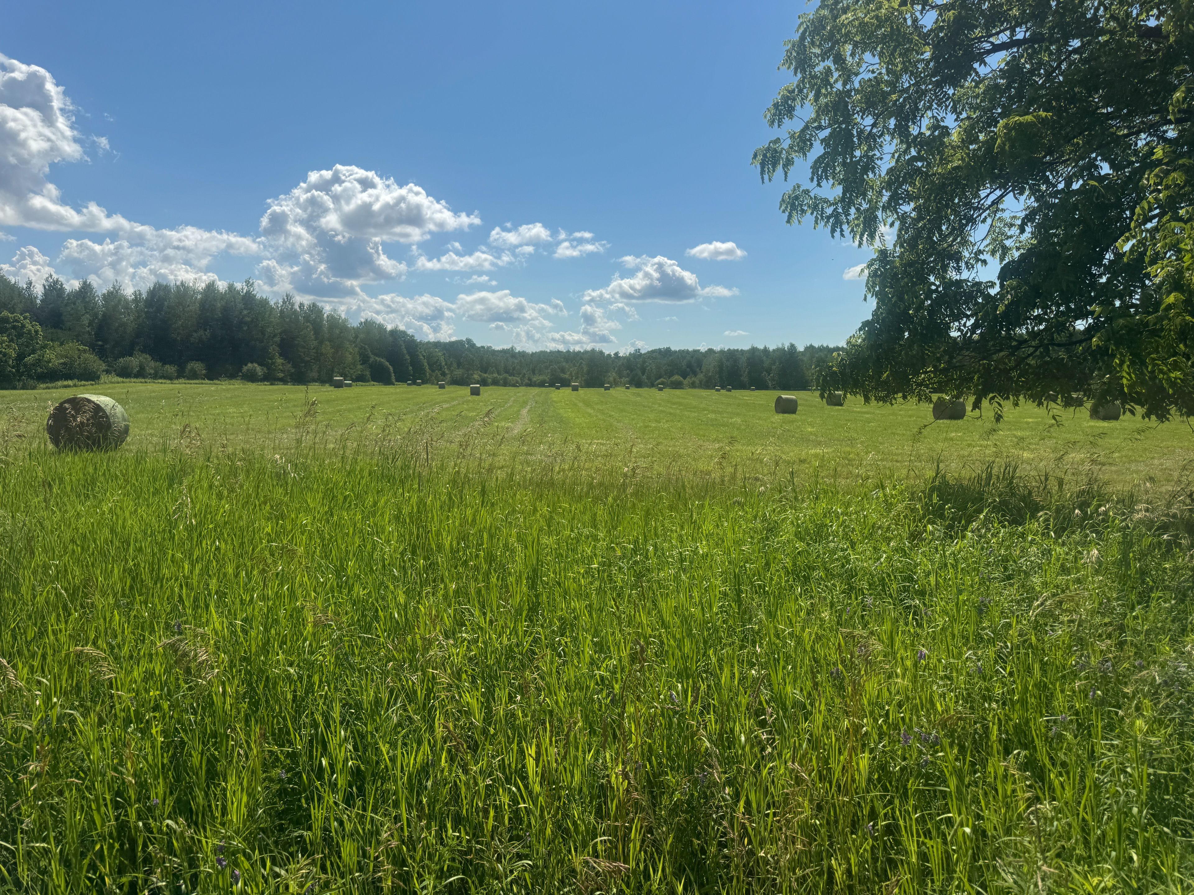 17236 Kennedy Road, Whitchurch-Stouffville, On L4a 2l9