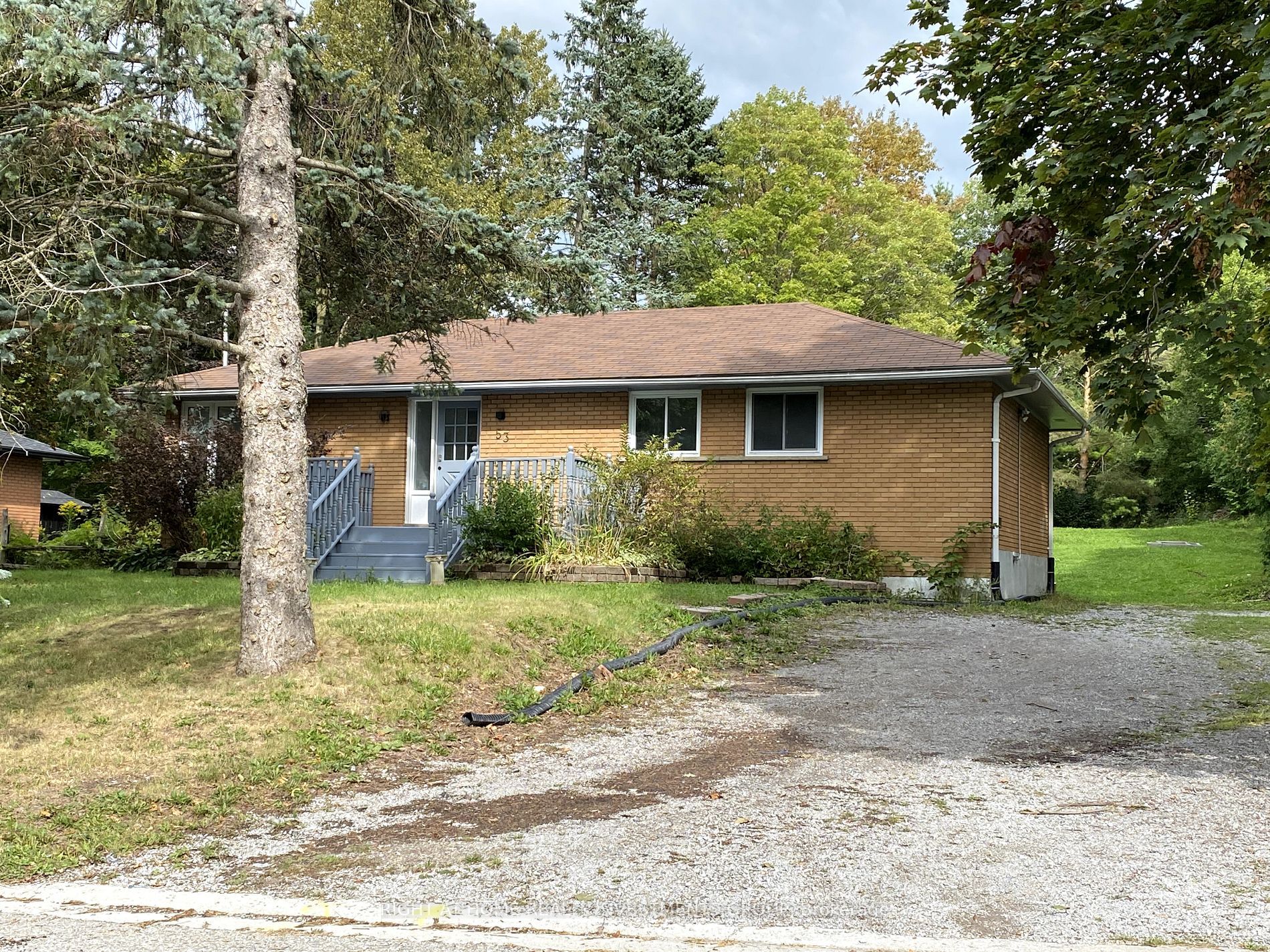 53 Belfry Drive Main, Newmarket, On L3y 3e9