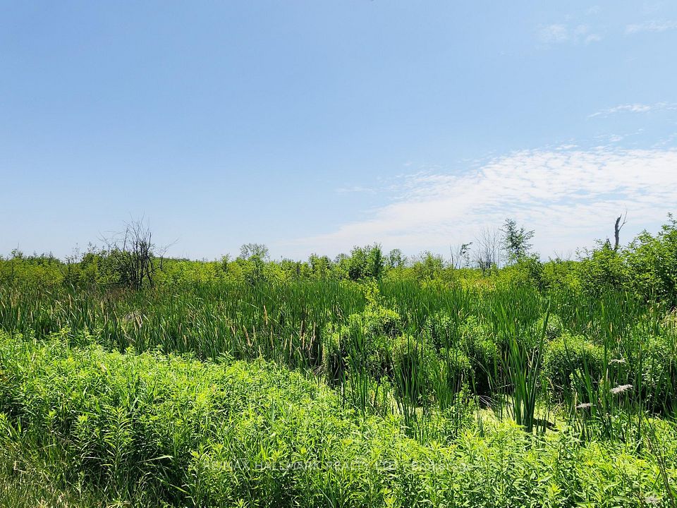 20200 Highway 48, East Gwillimbury, On L0g 1m0