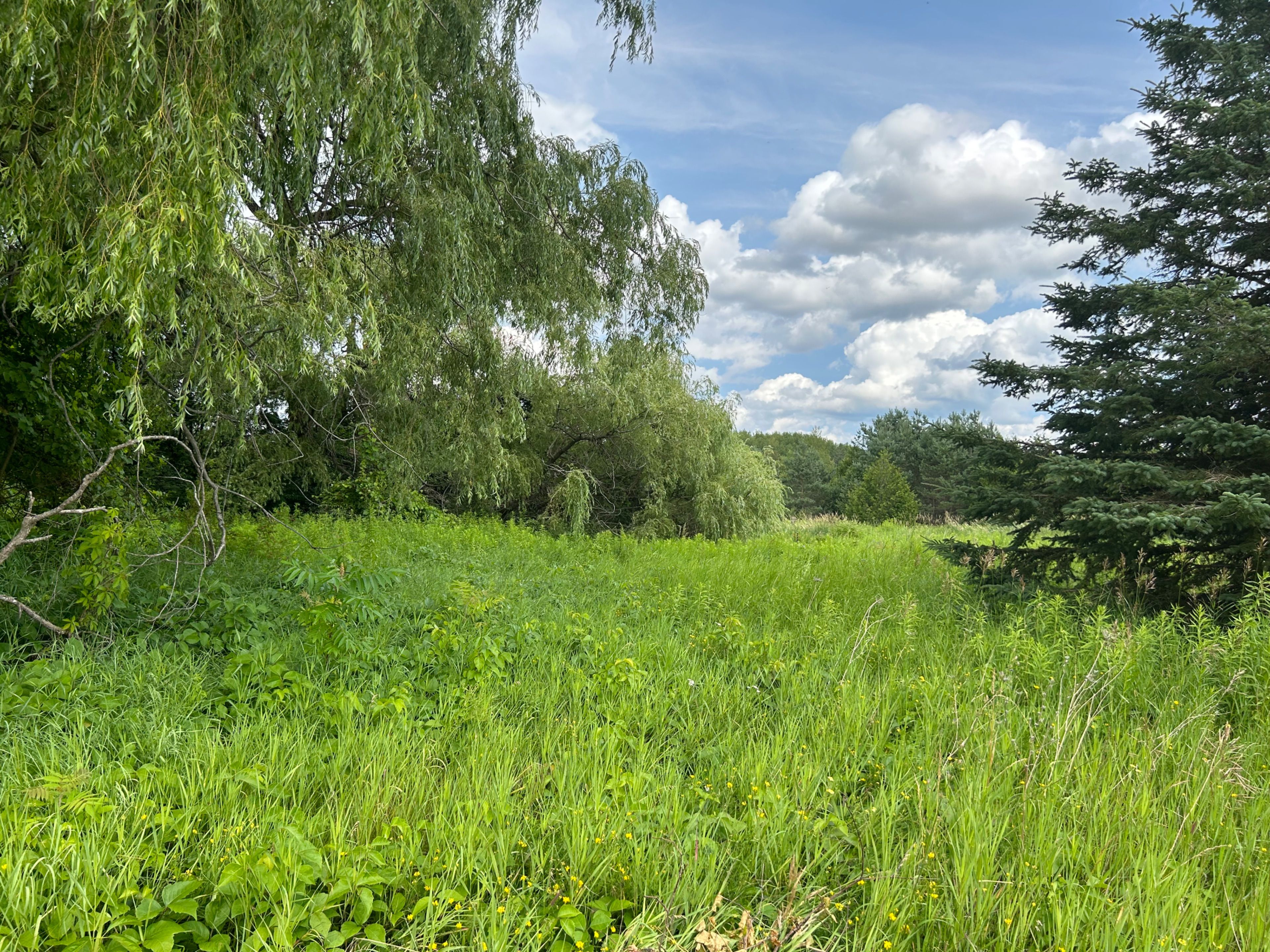 1125 Wood Road, Tay, On L0k 2e0