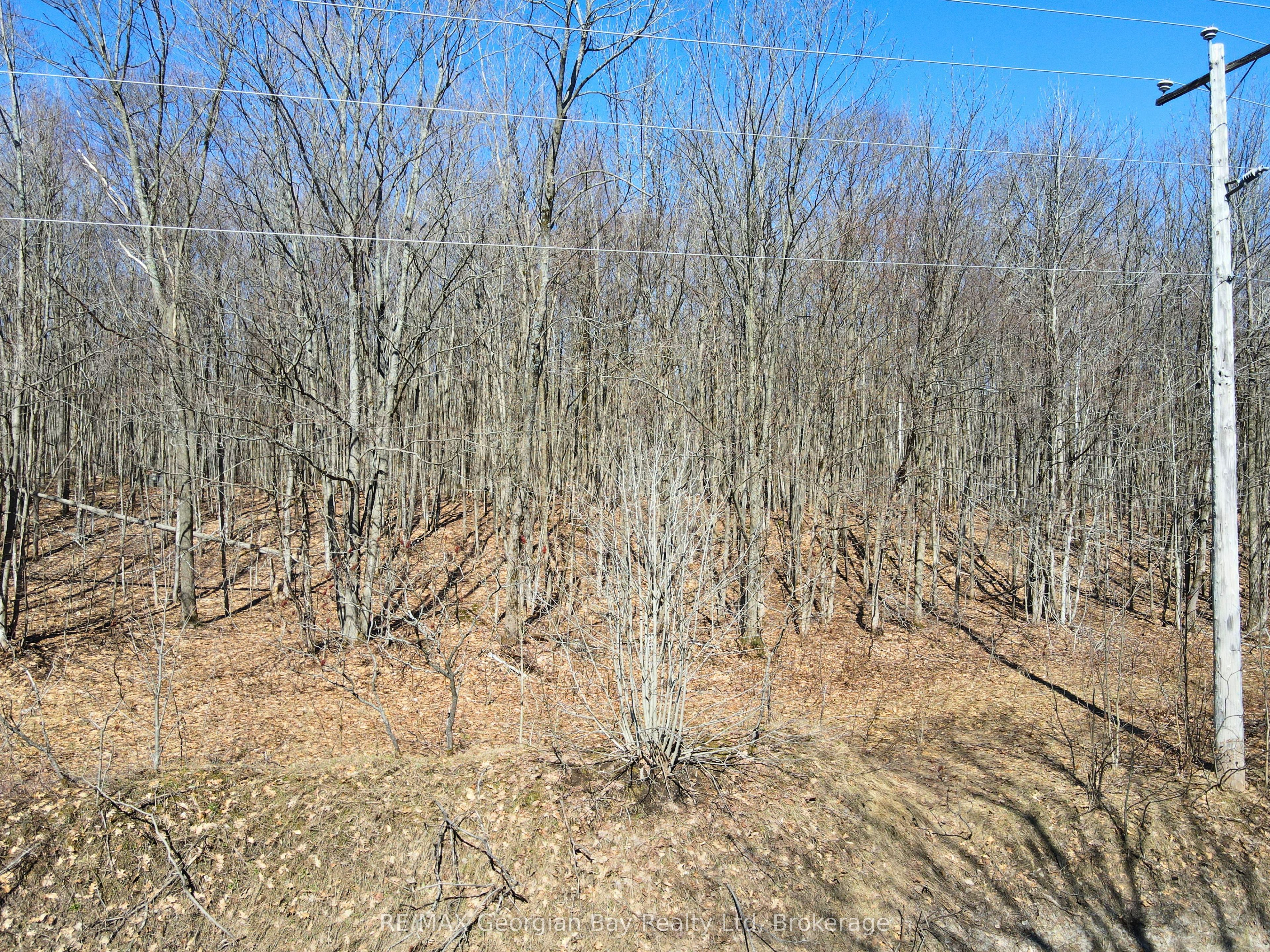 Lot 33 Macavalley Road, Tiny, On 00000