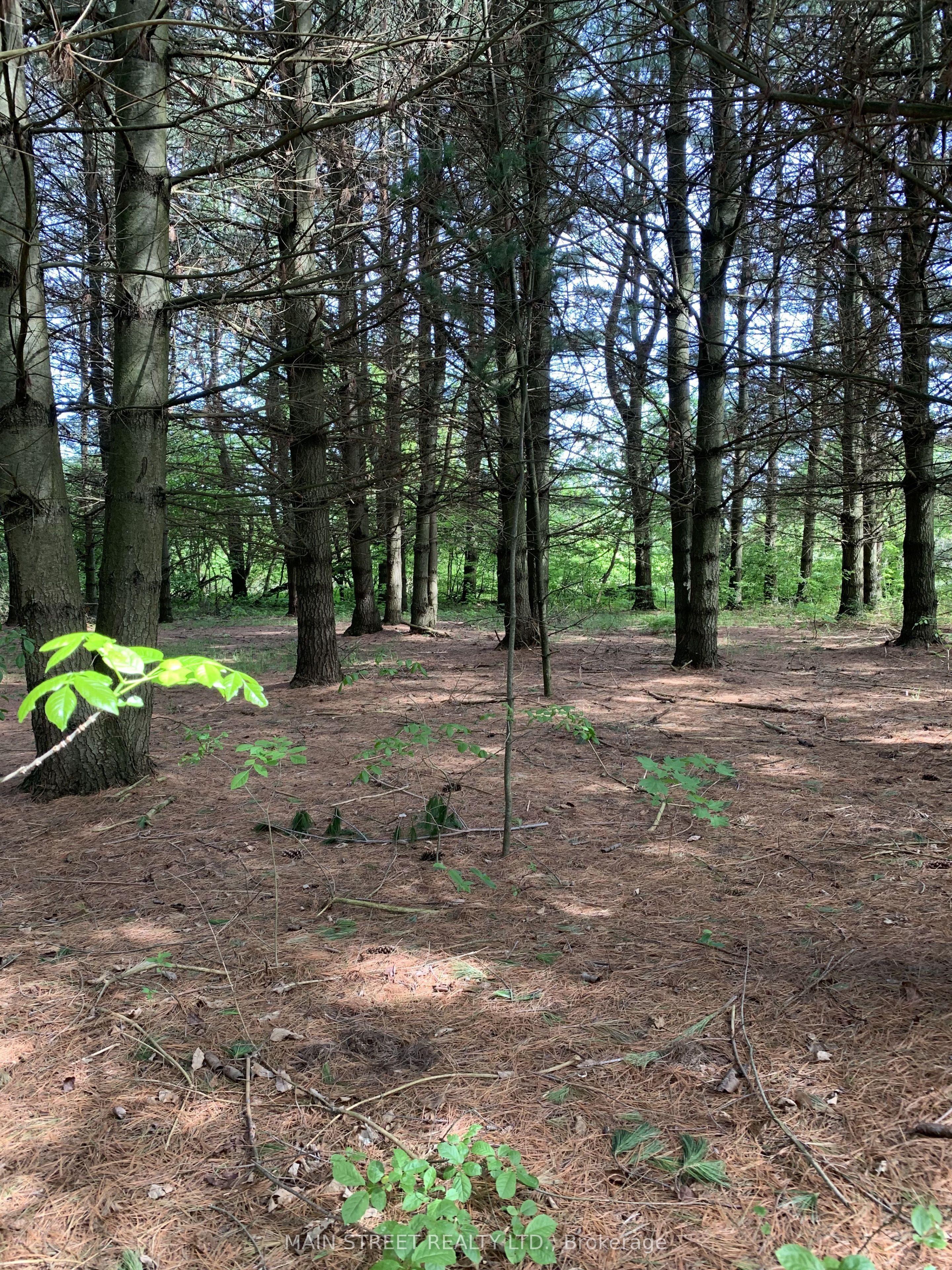 1451 Canal Road, Ramara, On L0k 1a0
