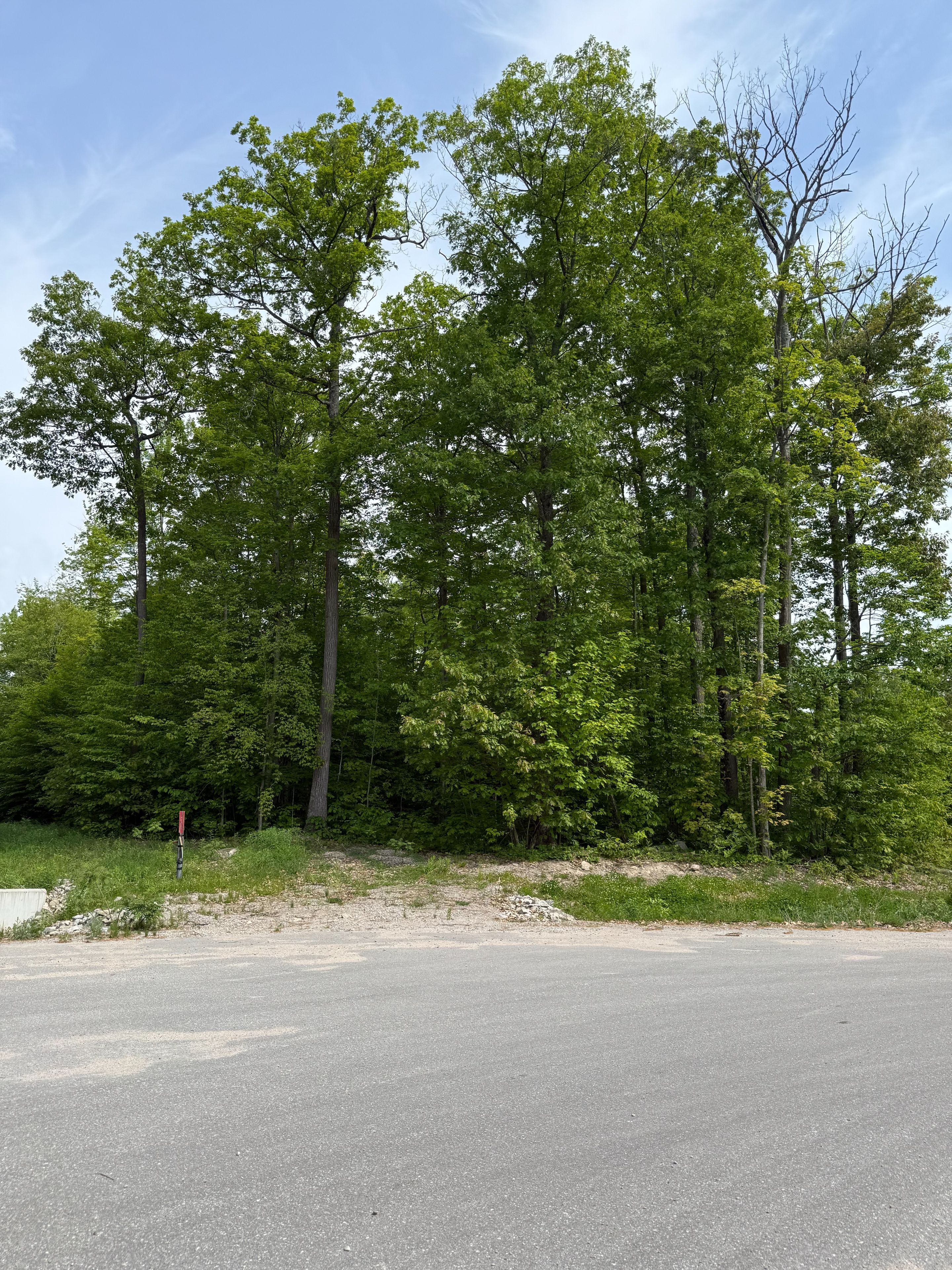 Lt 49 Whispering Pine Circle E, Tiny, On L9m 0c2