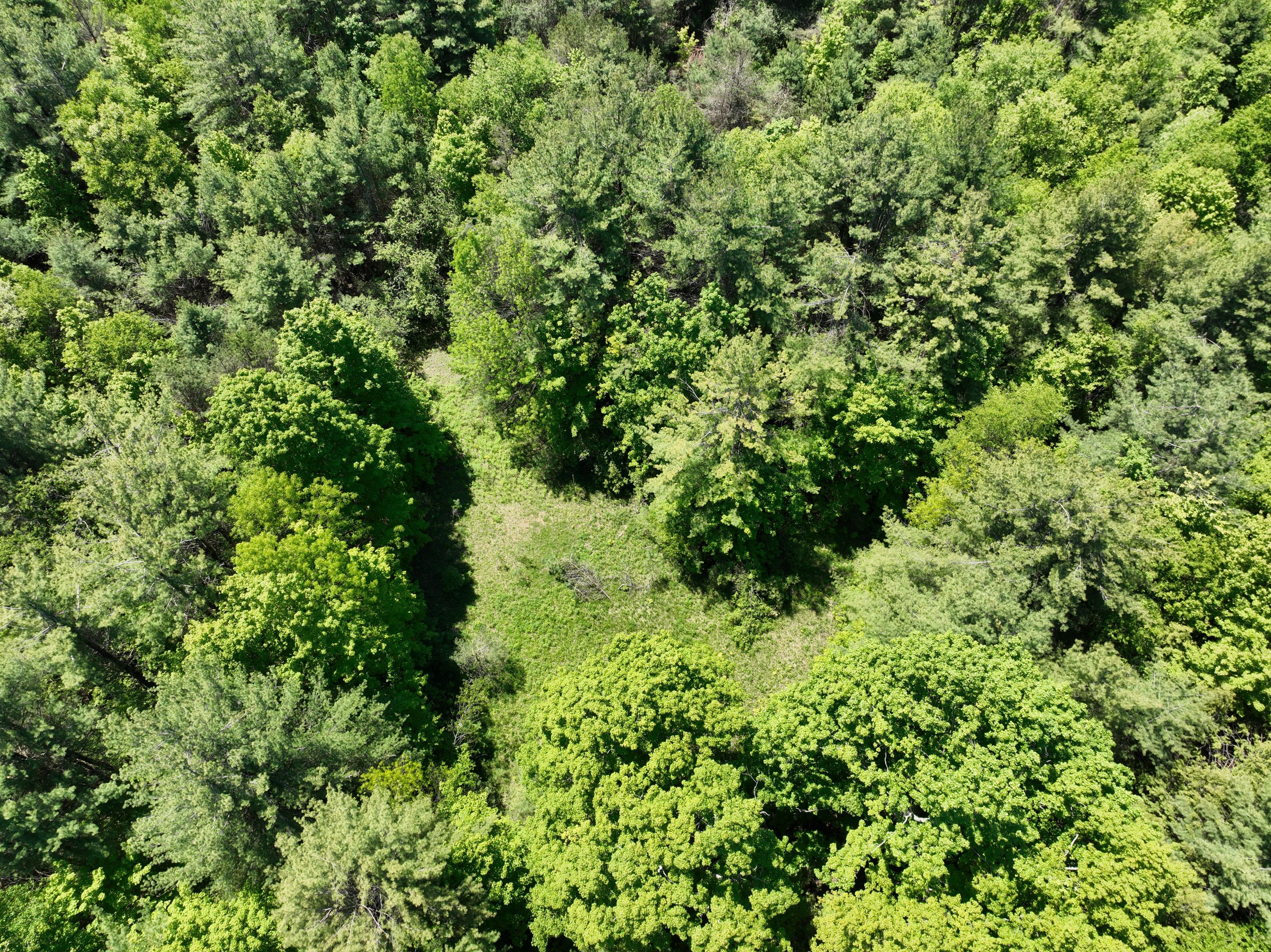 1676 Old Second Road S, Springwater, On L9x 1p1