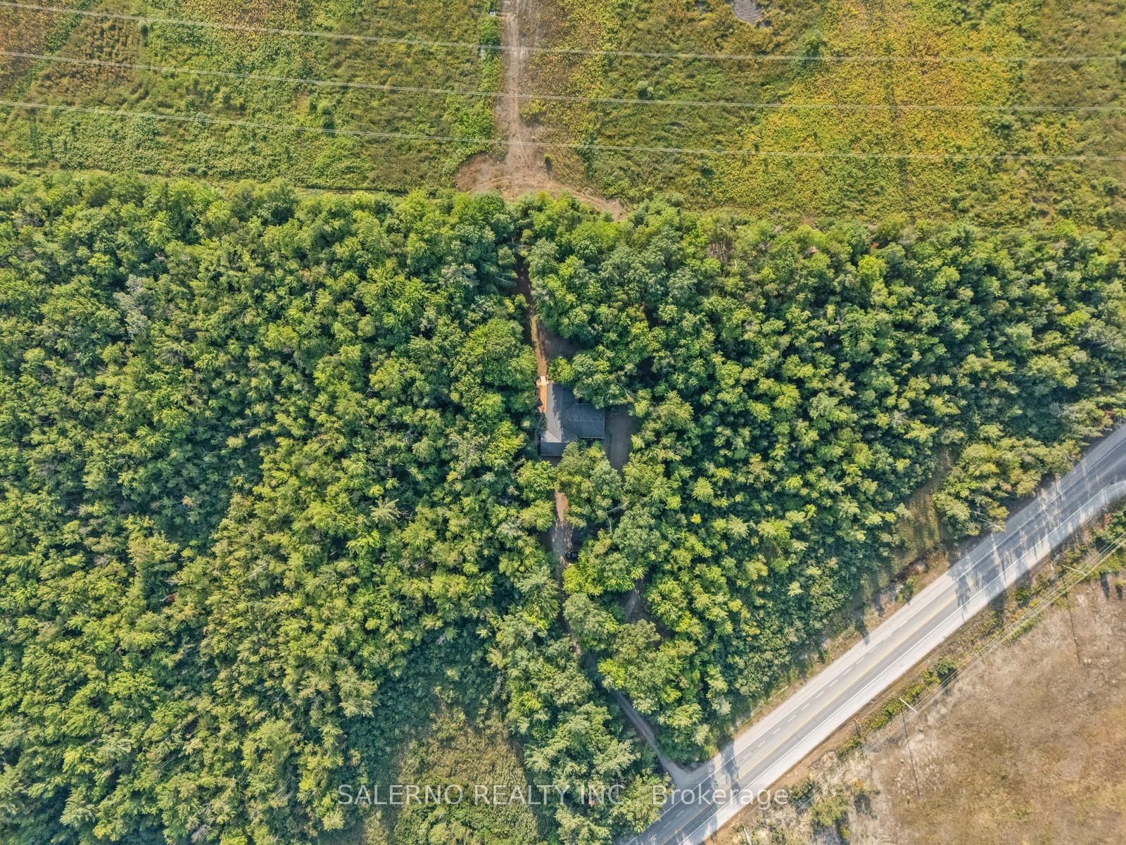 3992 Penetanguishene Road, Springwater, On L0l 1v0