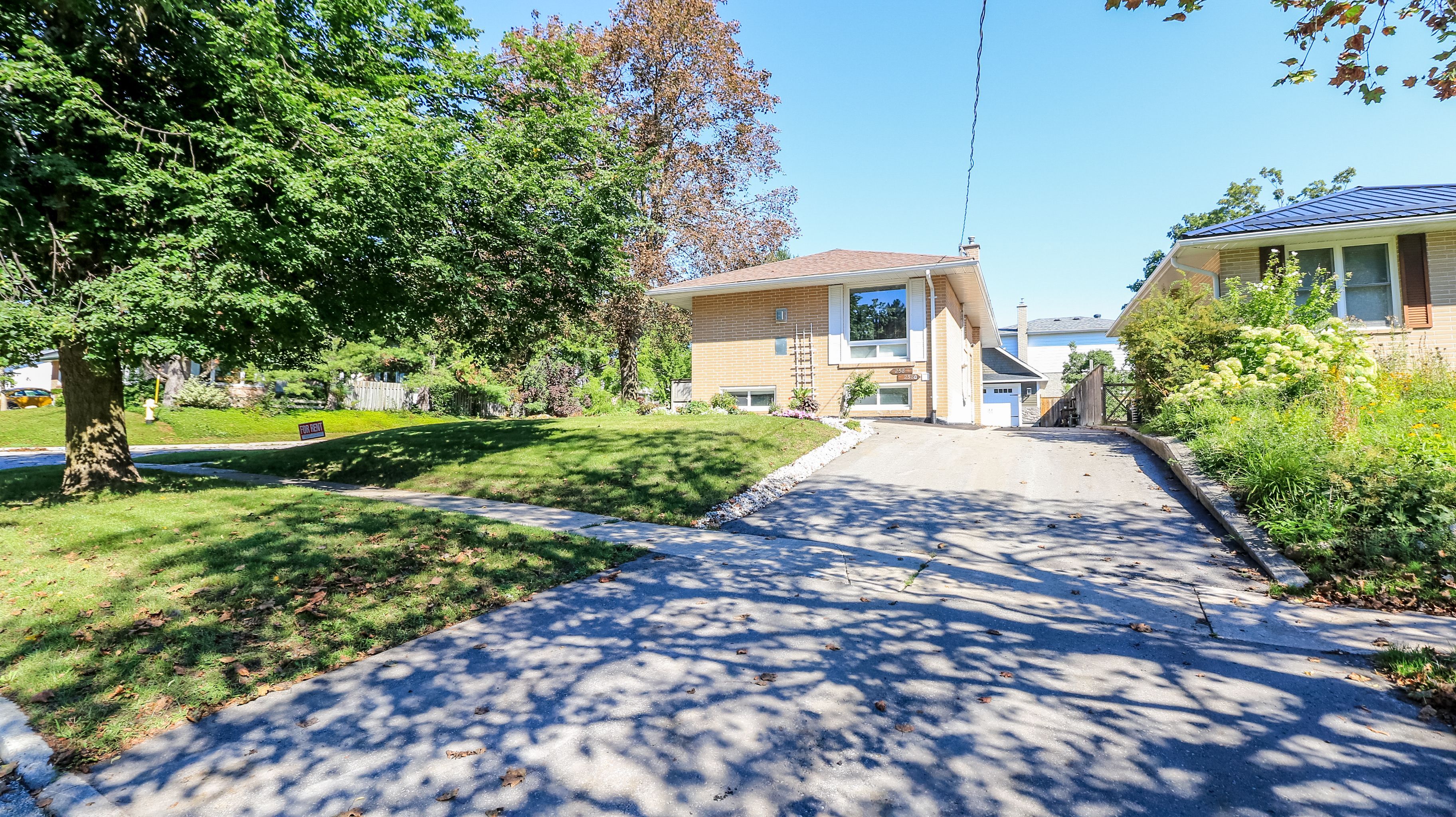258 Napier Street Basement, Barrie, On L4m 1x7