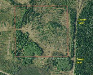 Ne Part Of S Lot 1 Con 6 N/A, Timmins, On P4n 2c7