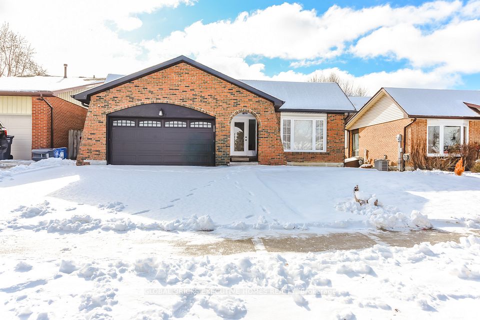 77 Blackthorn Lane, Brampton, On L6v 3l1