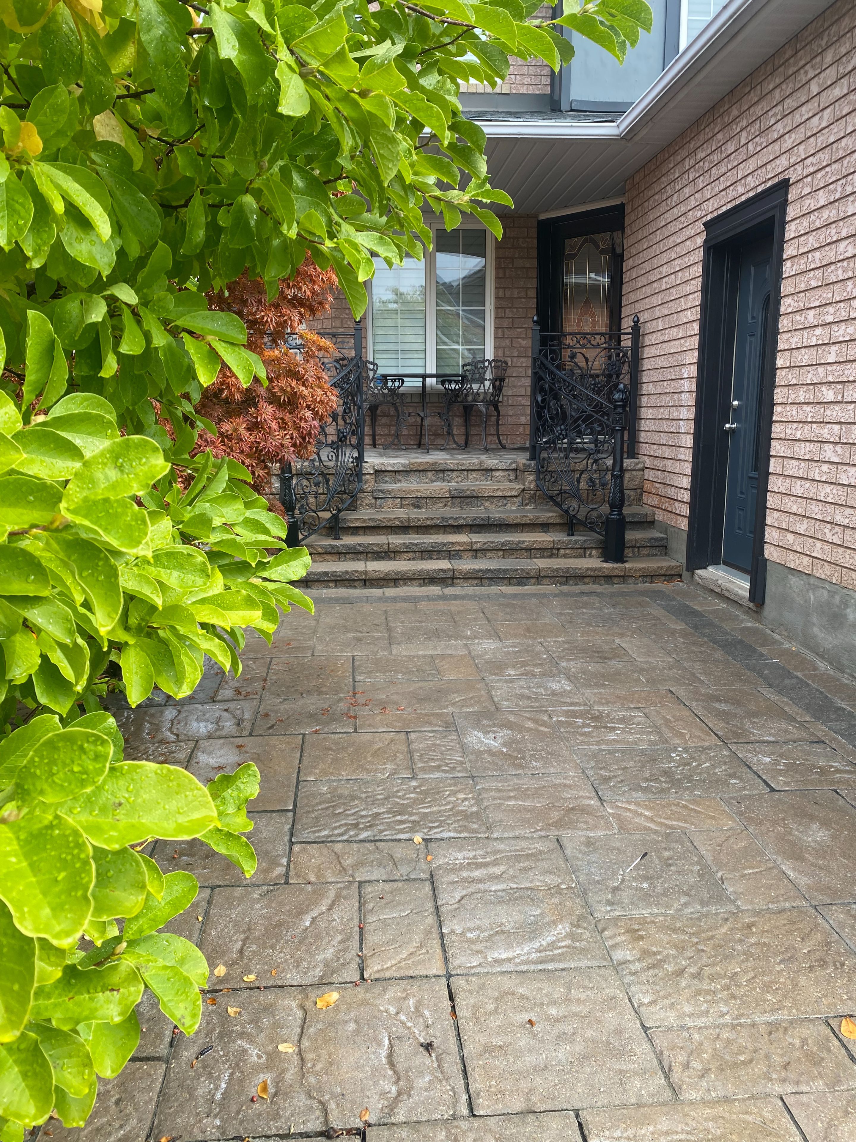 5663 Whitehorn Avenue Bsmt, Mississauga, On L5v 2h1