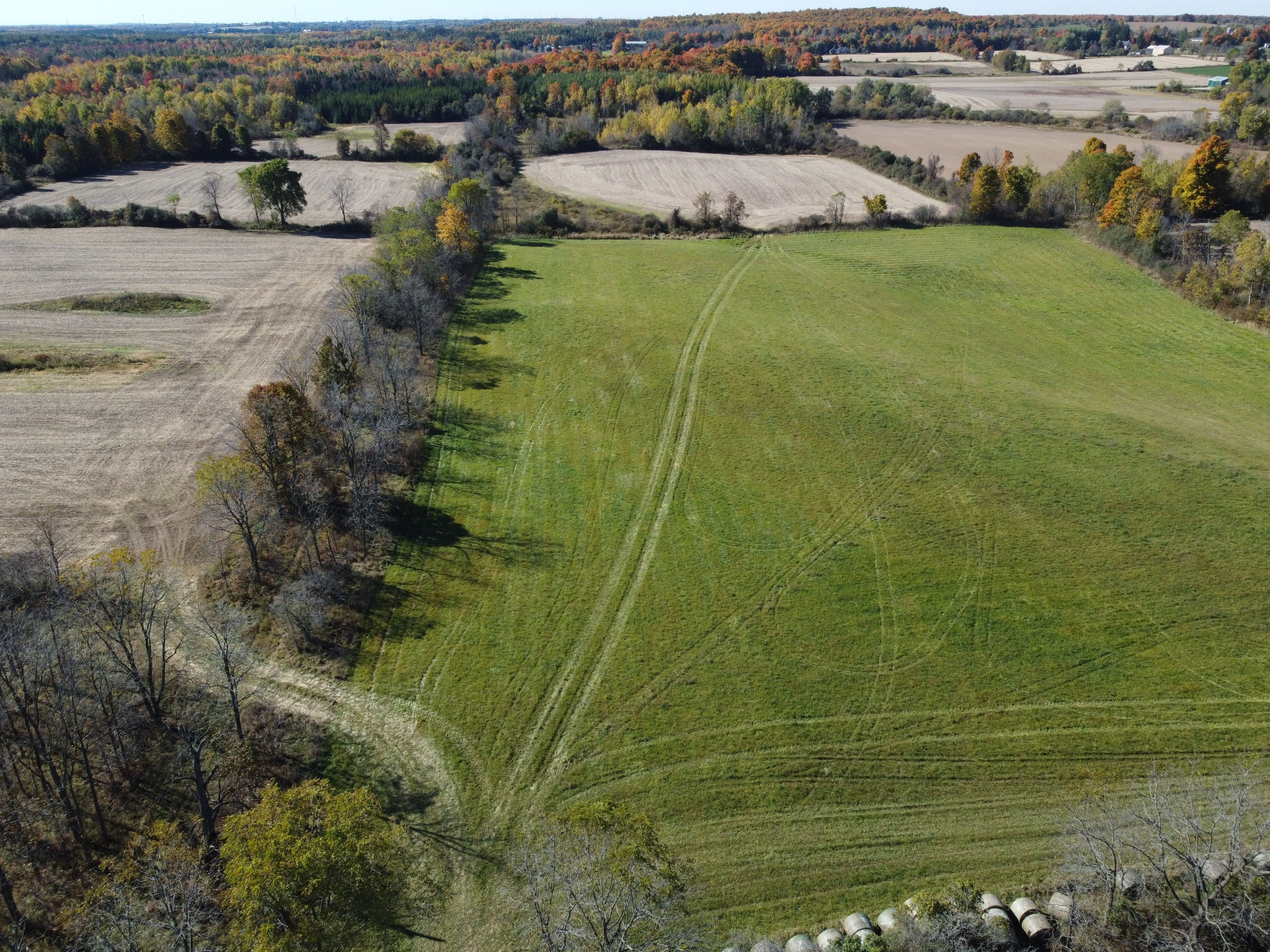 11080 First Line Nassagaweya, Milton, On L0p 1j0