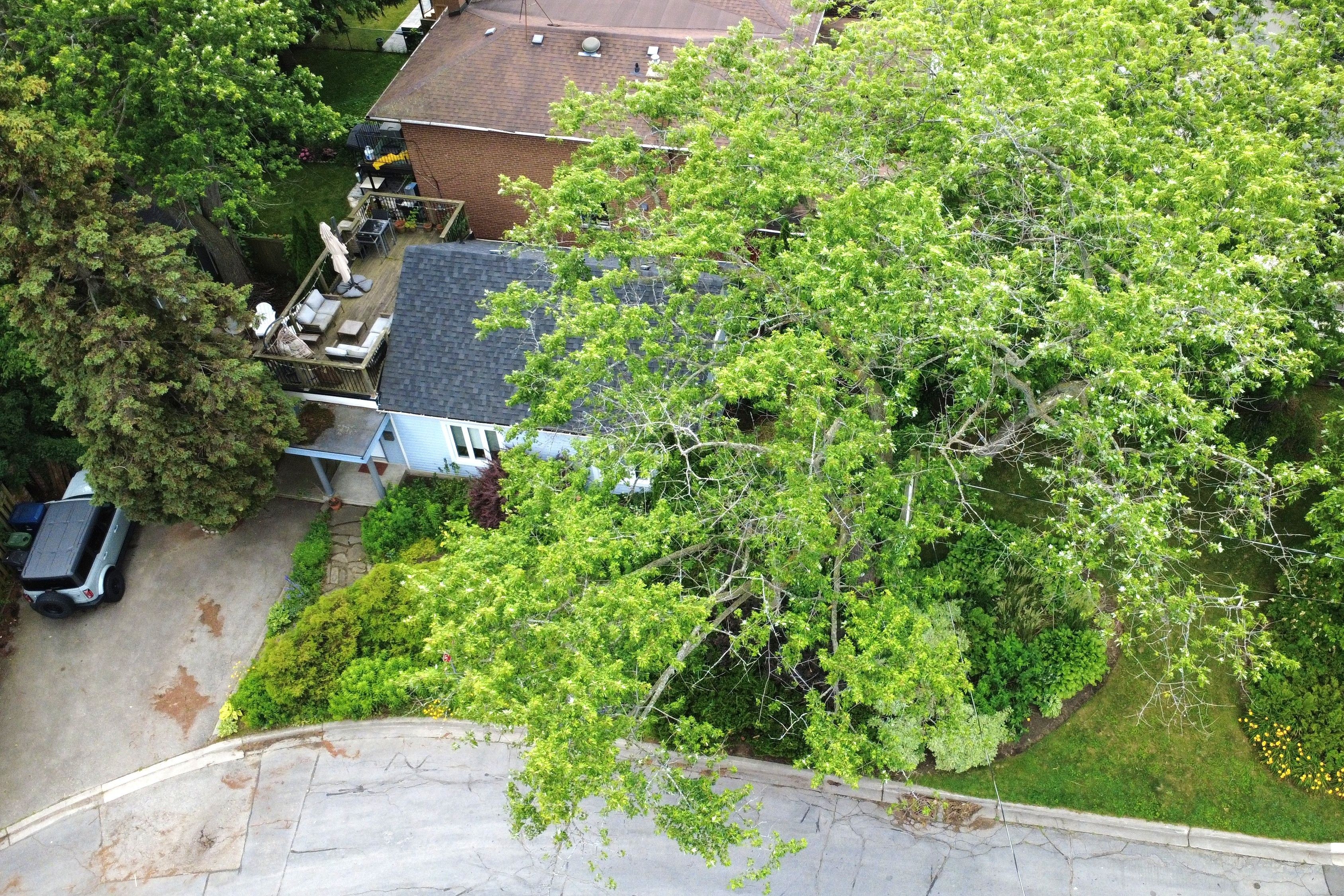 2 Foch Avenue, Toronto, On M8w 3w8