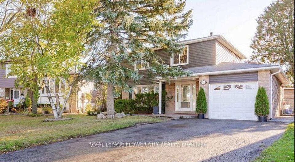 12 Gondola Crescent Basement, Brampton, On L6s 1w6