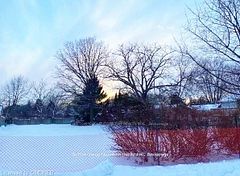 1142 Haig Boulevard, Mississauga, On L5e 2m7