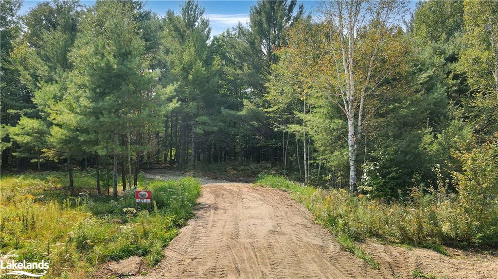 1071 Hawk Valley Road, Algonquin Highlands, On K0m 1j2