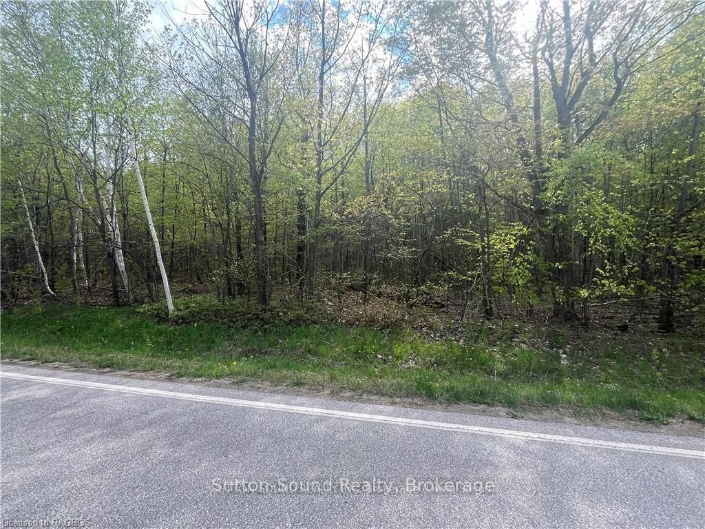Lot 5 Grey Road 1, Georgian Bluffs, On N0h 2t0
