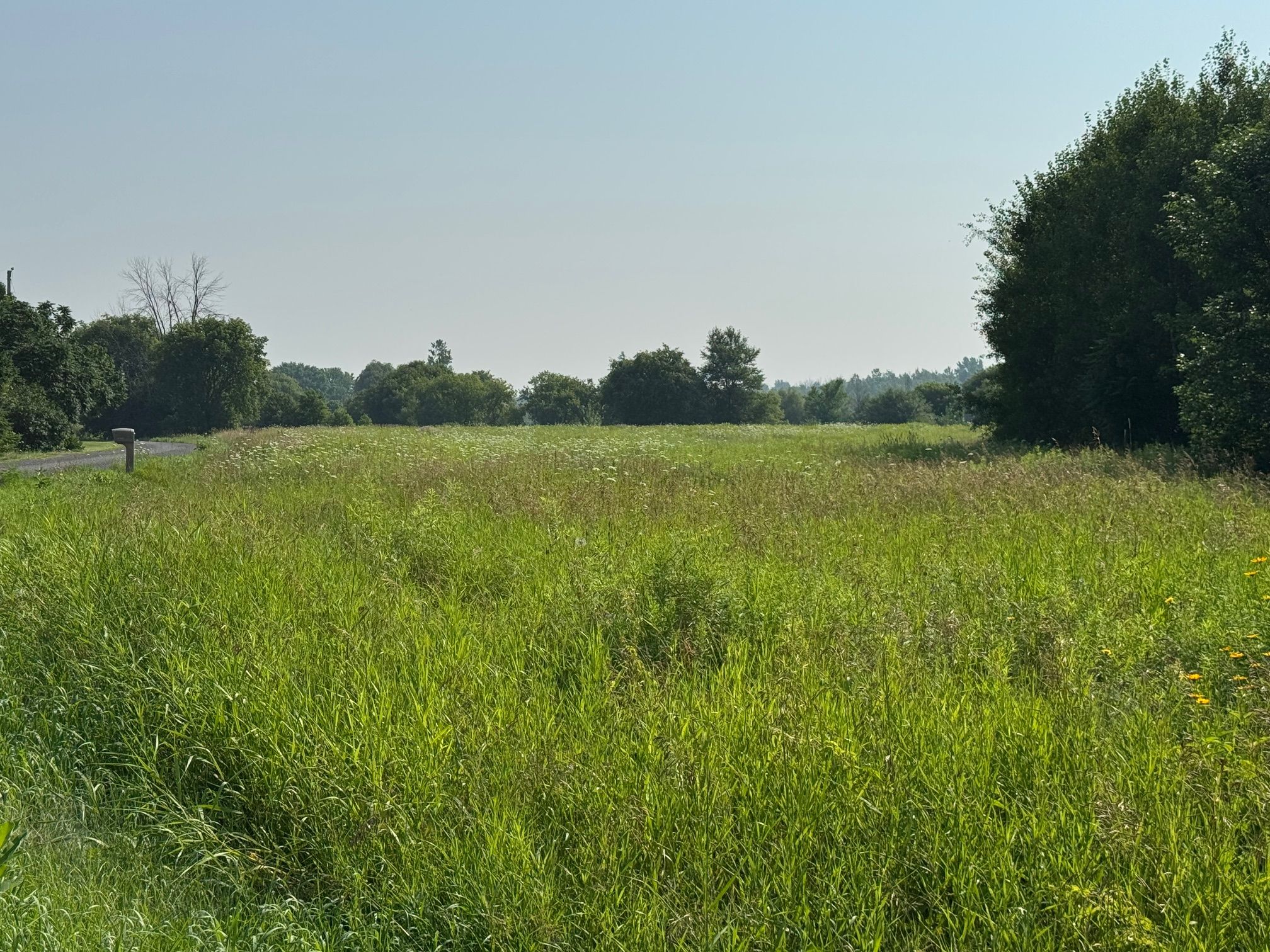 Lot South Branch Road S, South Dundas, On K0e 1k0