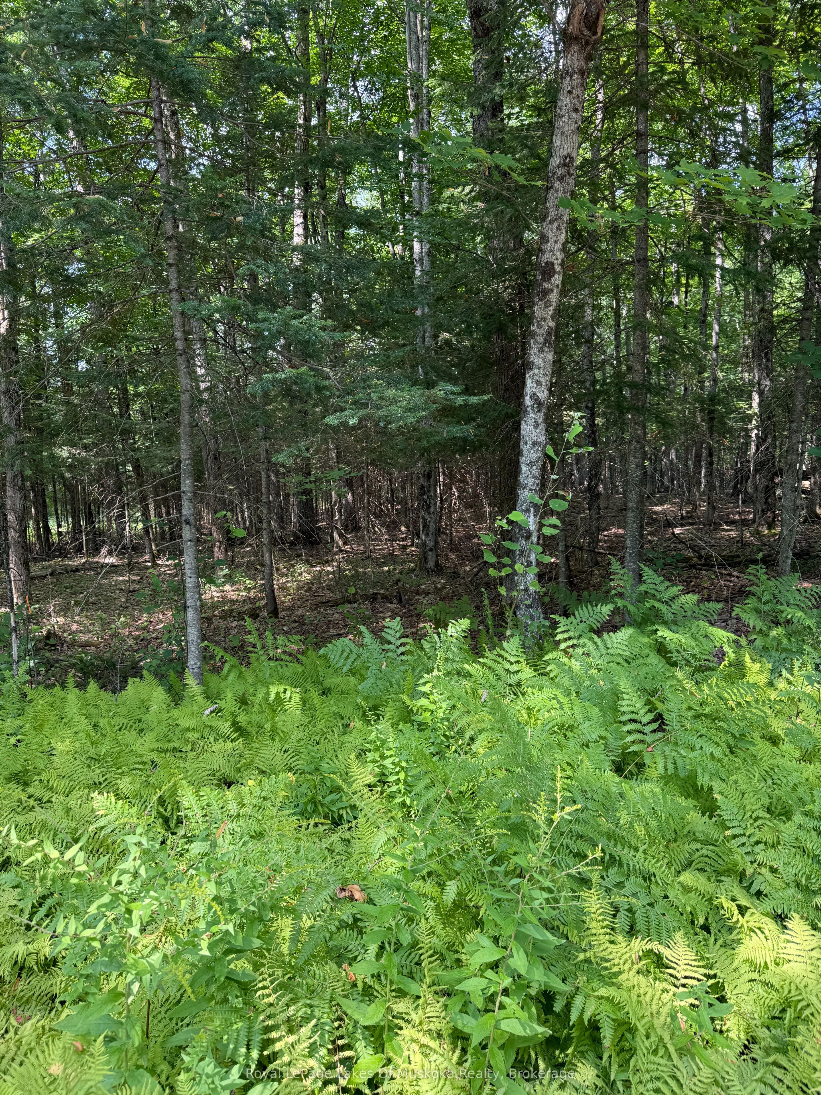 Lt 26 Frank St Street, Magnetawan, On P0a 1z0