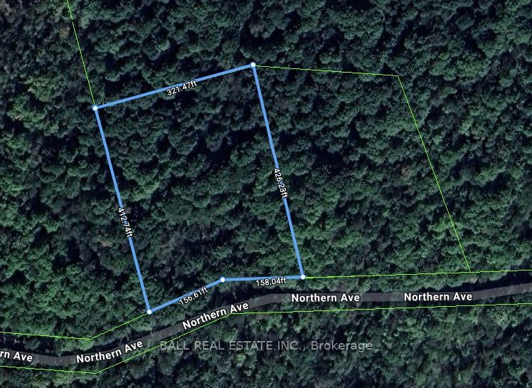 0 Northern Avenue, Trent Lakes, On K0m 1a0