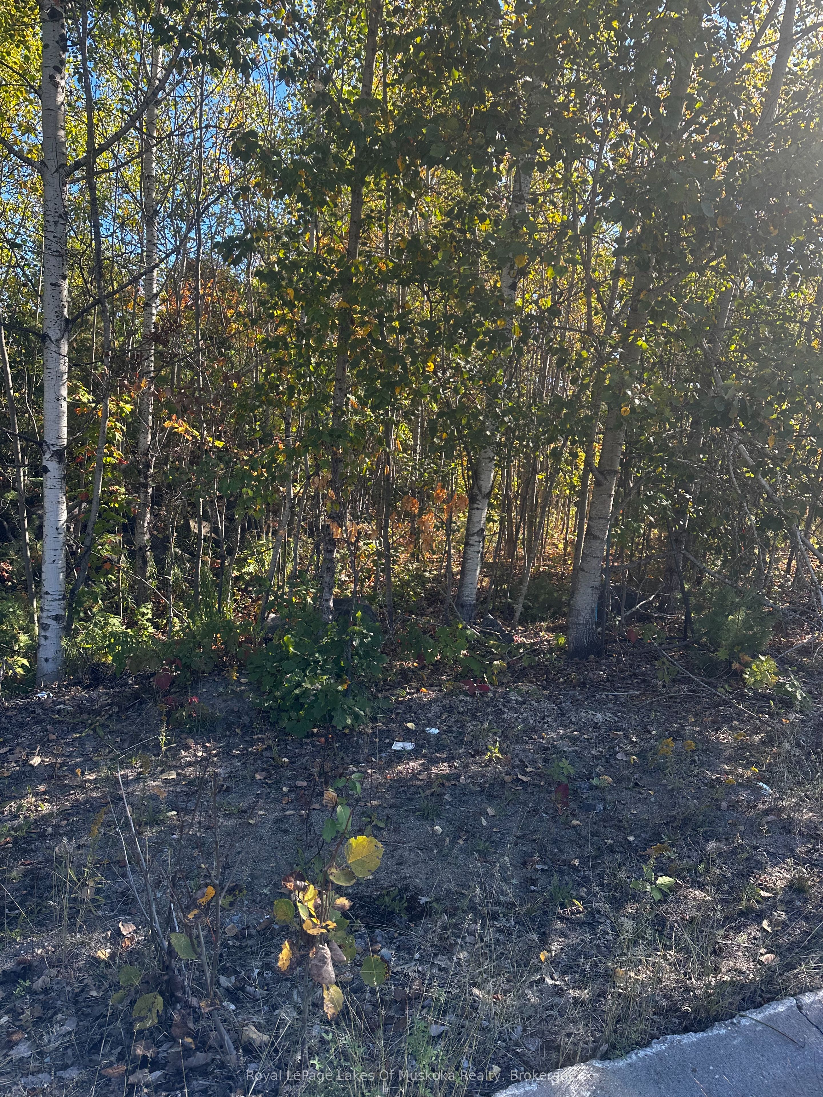 23 Freeland Drive, Gravenhurst, On P1p 1z6