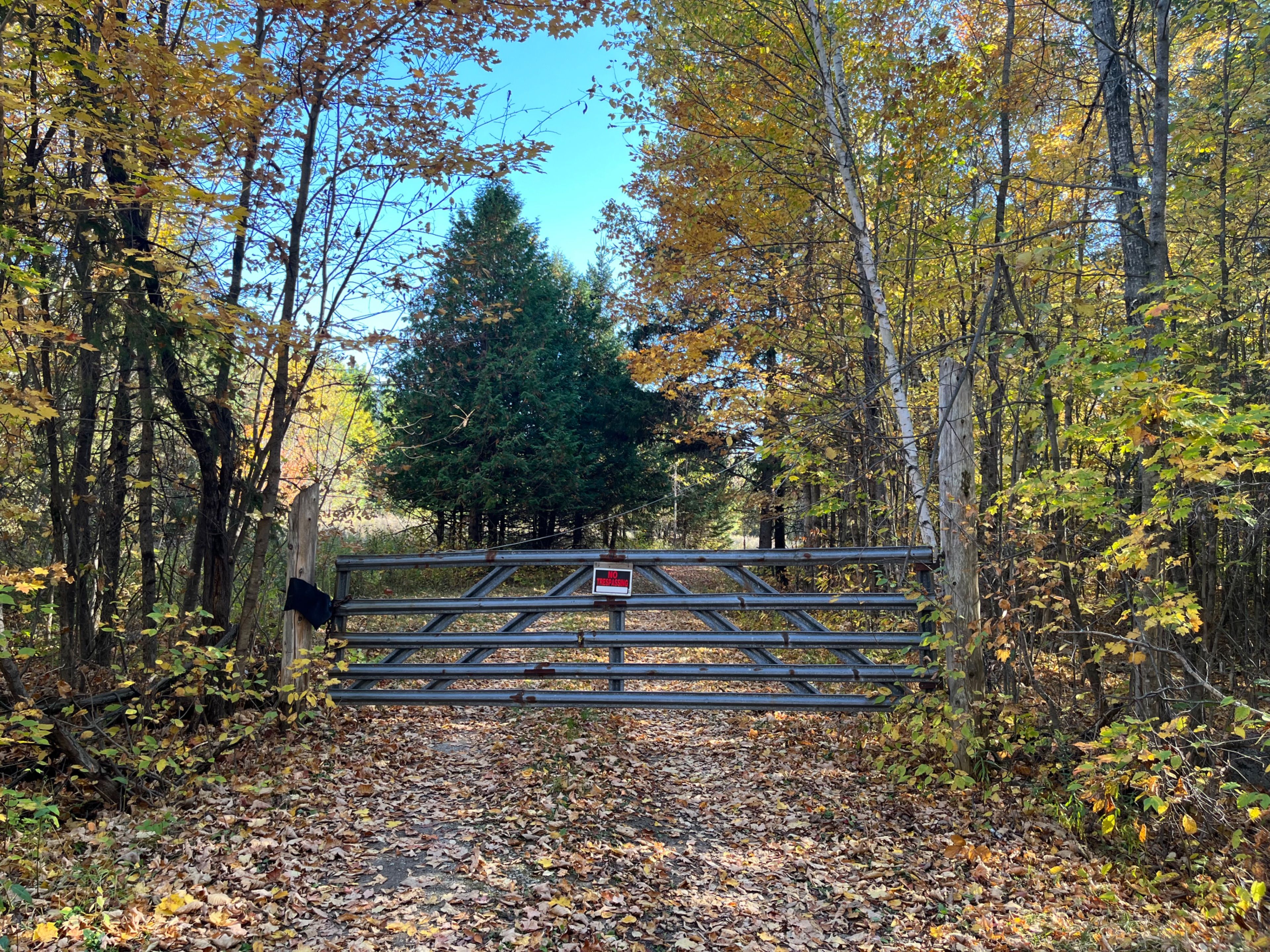 0 Minnie Road, Bonnechere Valley, On K0j 1t0