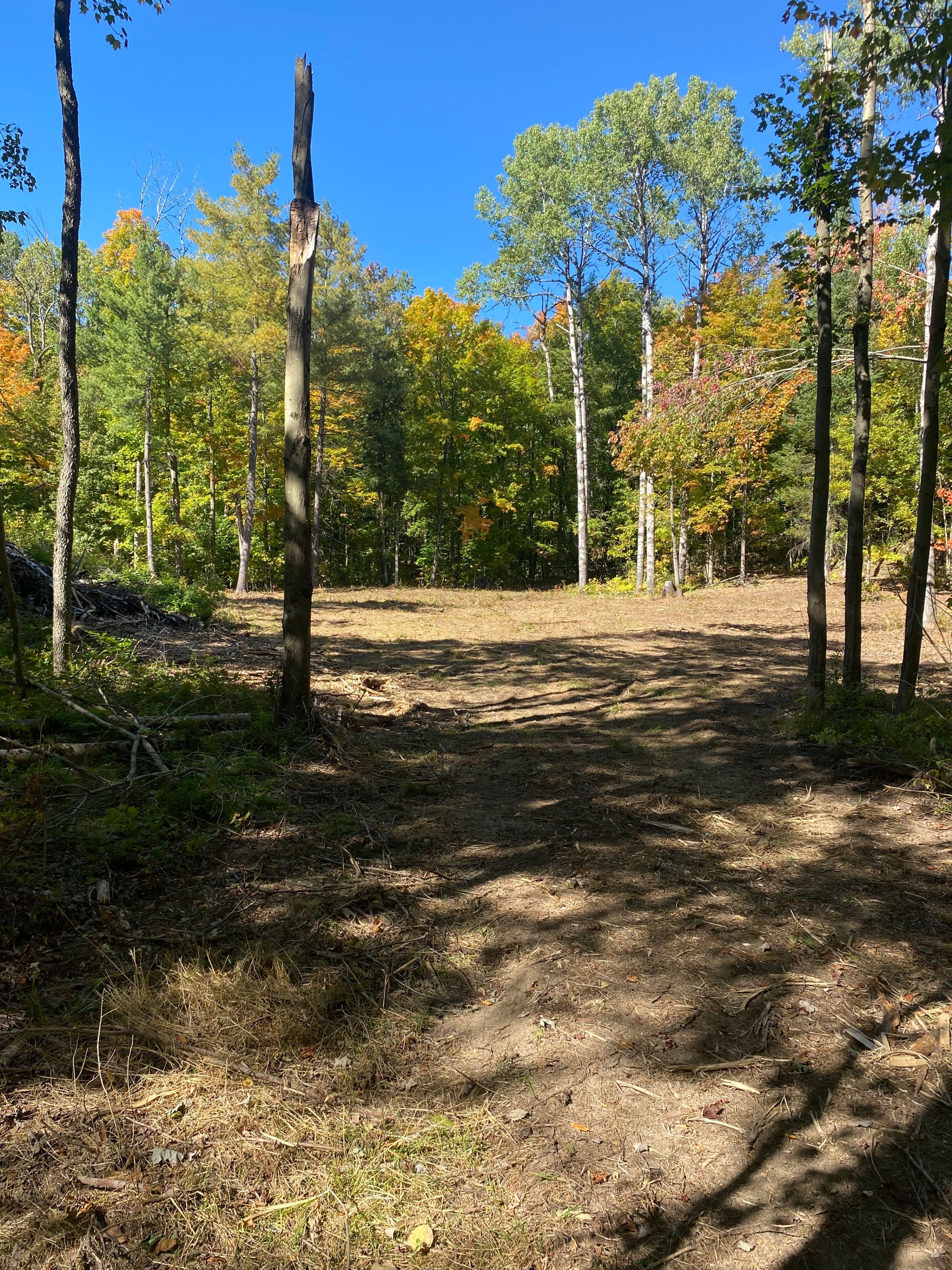1248 Beiers Road, Gravenhurst, On P0e 1g0