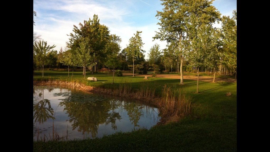 V/L Rosehill Road, Fort Erie, On L2a 5m4