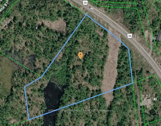 Lot 15 Concession 9, Trent Lakes, On K0l 1j0