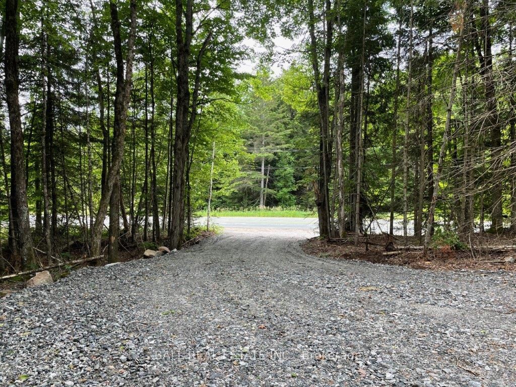 1350 Haliburton Lake Rd, Dysart Et Al, On K0m 1s0