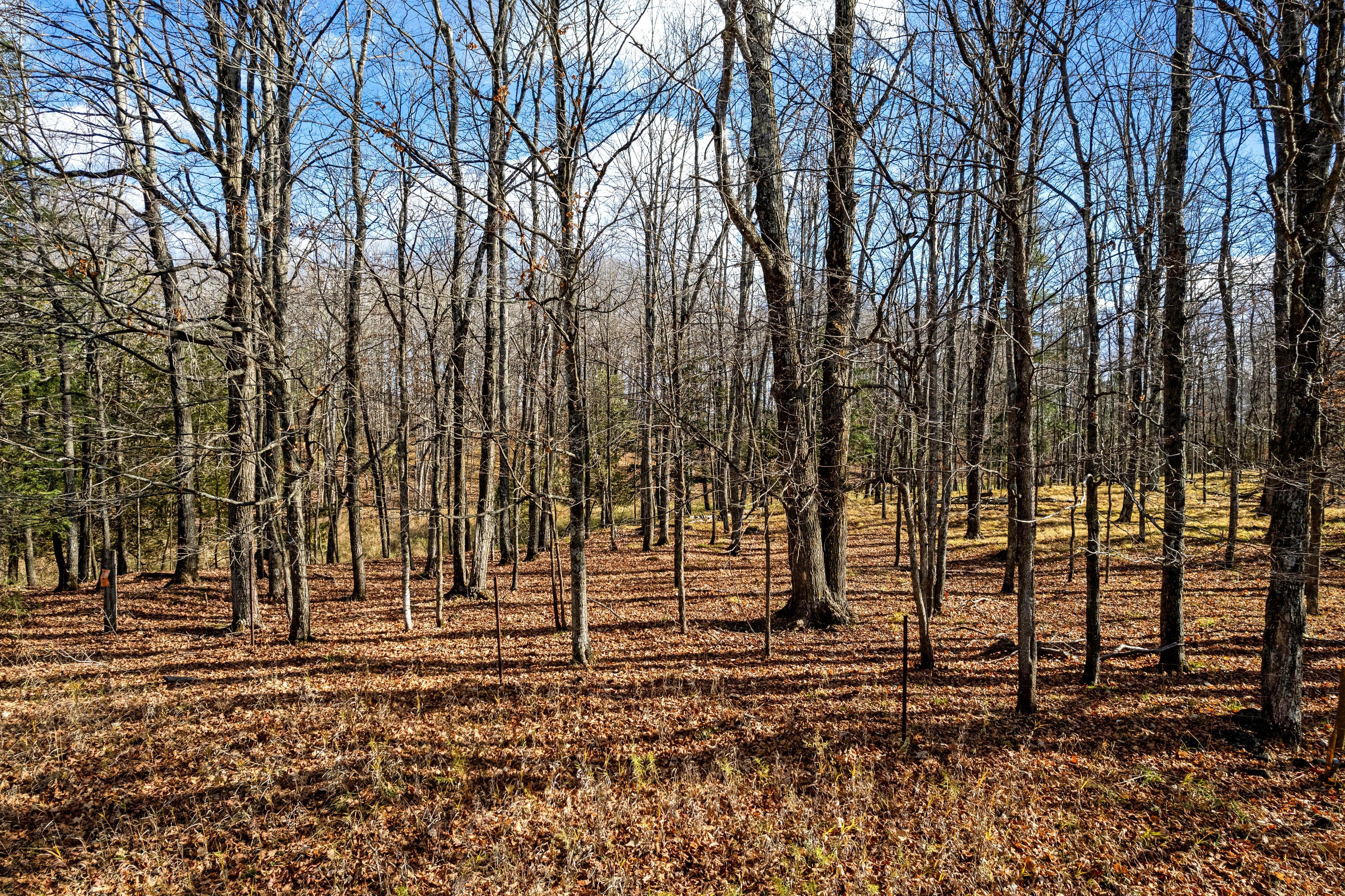 Pt 3-00 Herron Mills Road, Lanark Highlands, On K0g 1k0