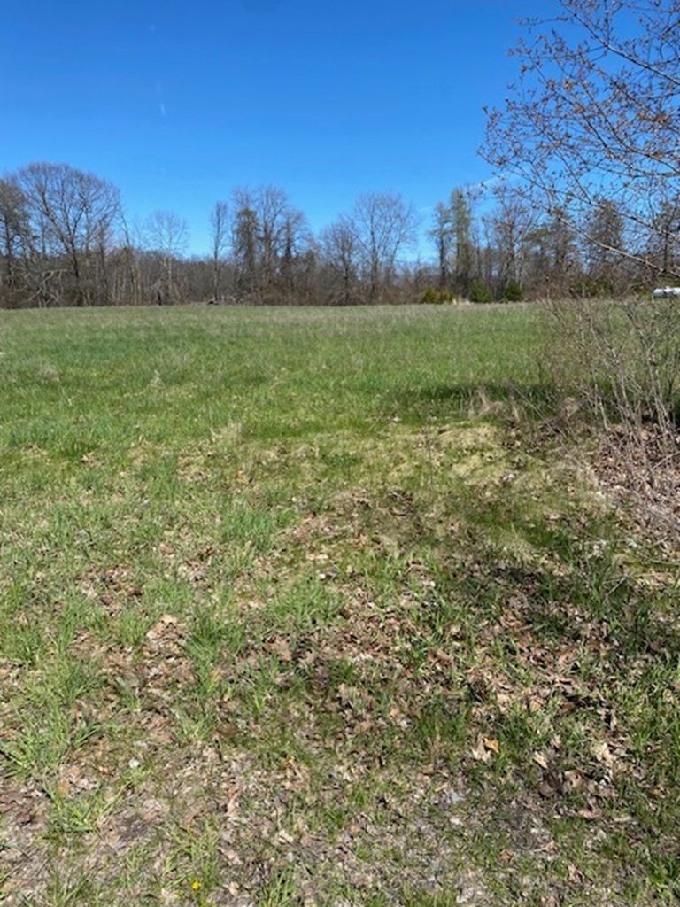 15 Youngs Point Road, Greater Napanee, On K0k 1g0