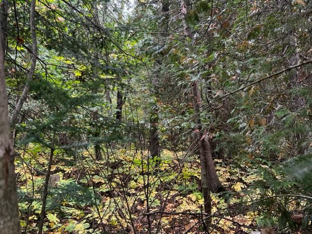 6 Shore Road, Saugeen Shores, On N0h 2l0