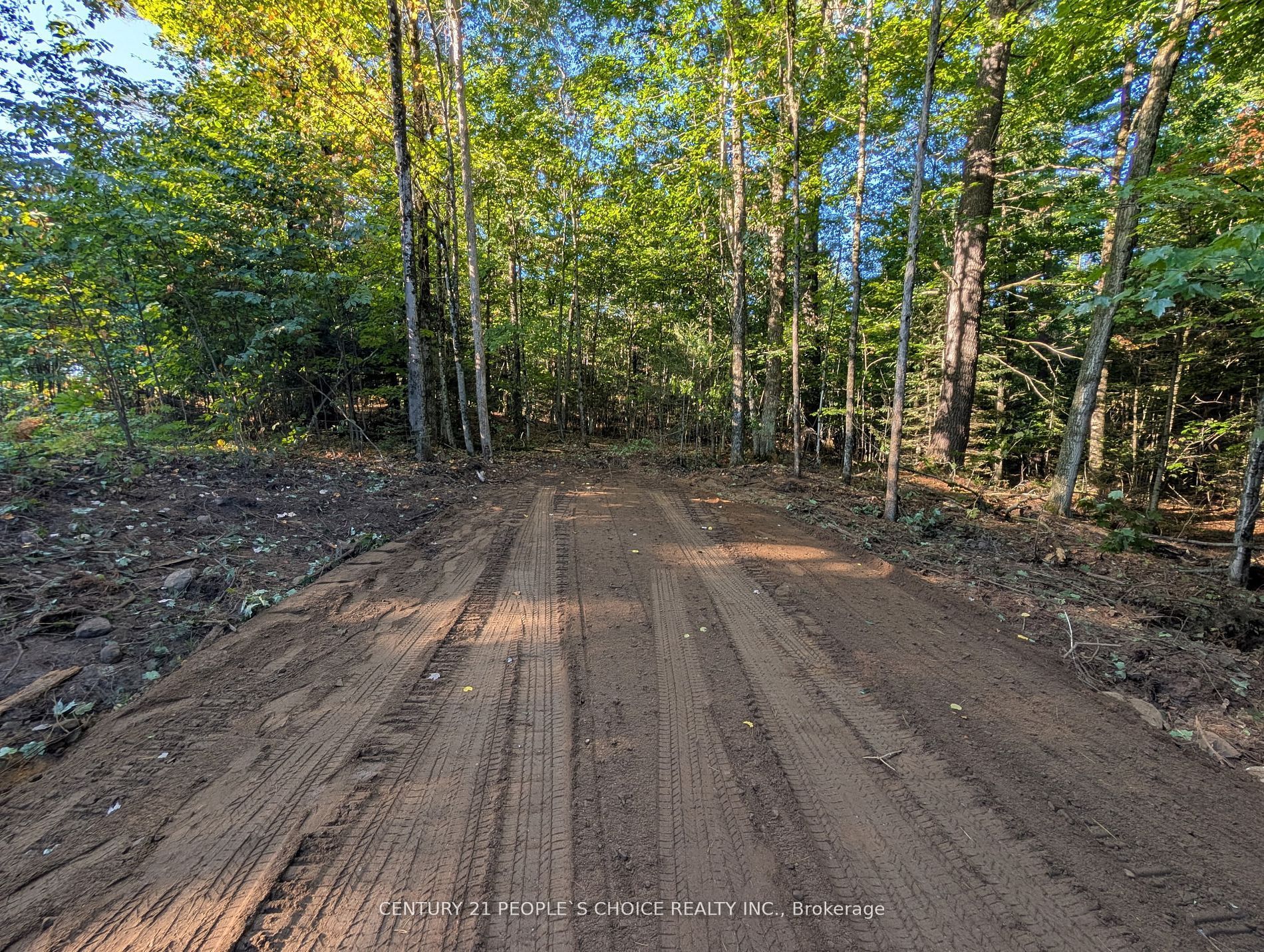 1055 W Porkys Road, Minden Hills, On K0m 2k0