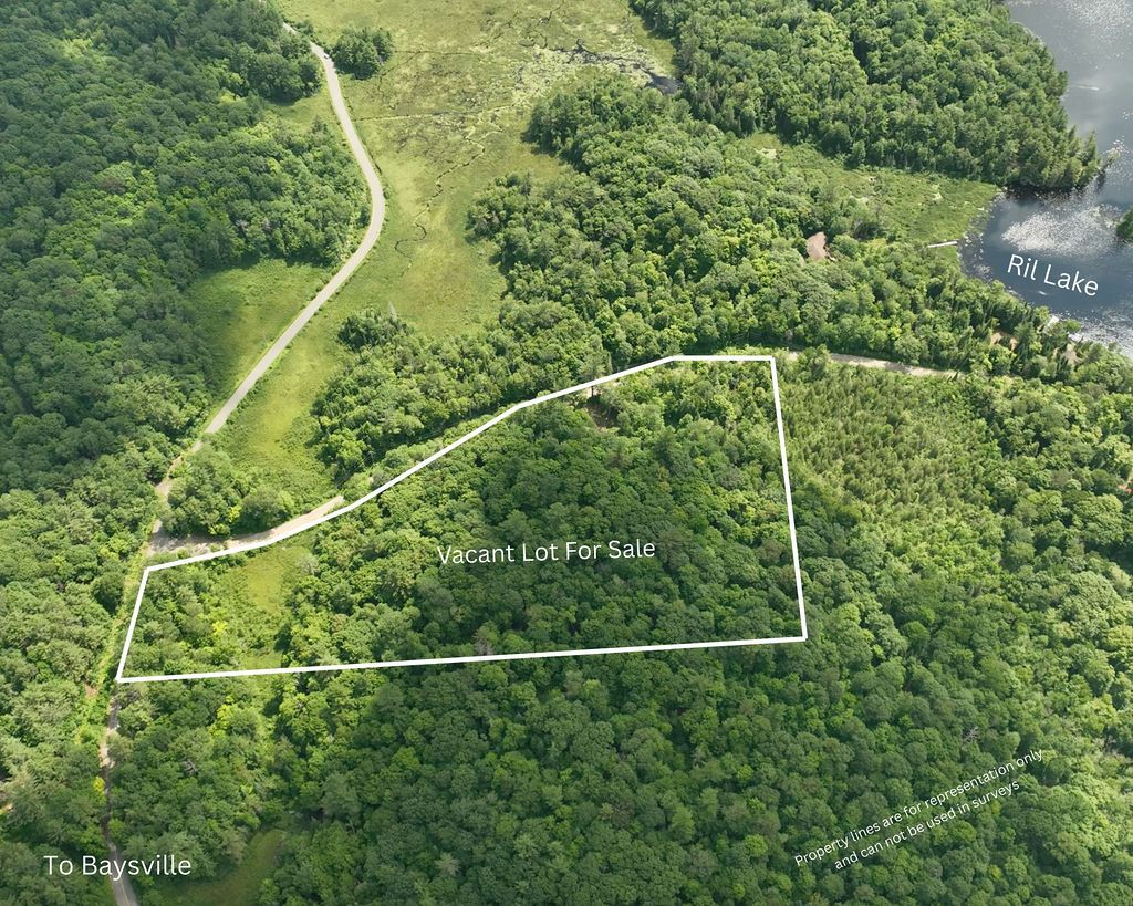 0000 Ril Lake Road S, Lake Of Bays, On P0b 1a0