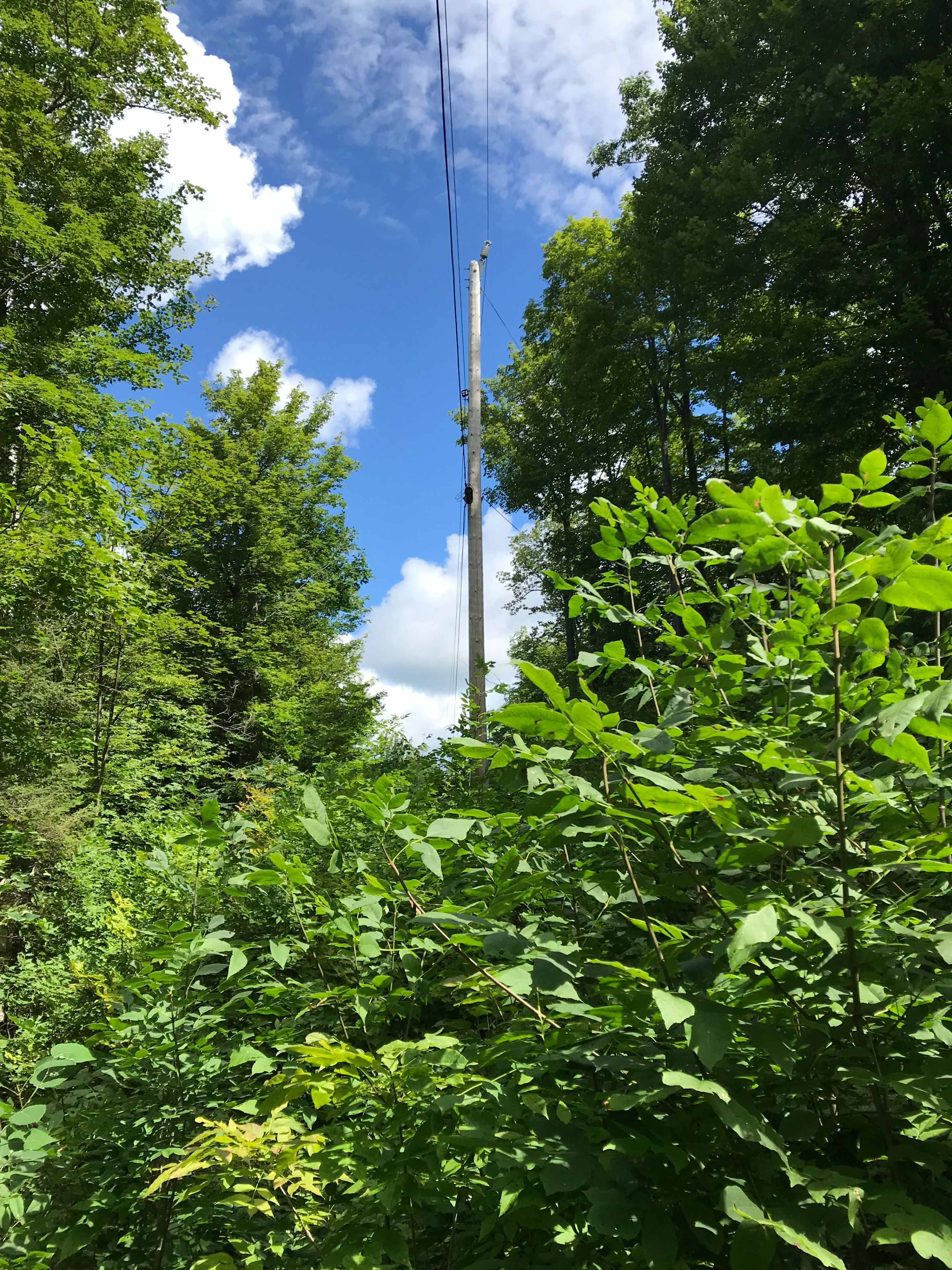 000 Blanchards Road, Kawartha Lakes, On K0m 2b0