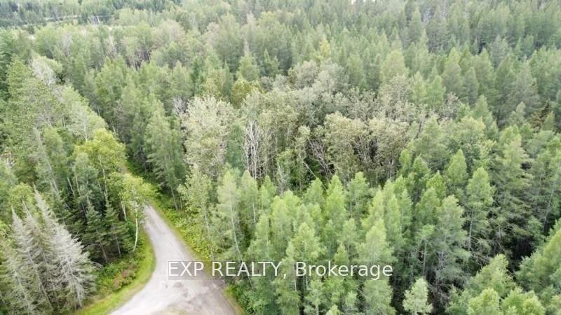 Lot B Chippawa Road, Madawaska Valley, On K0j 1b0