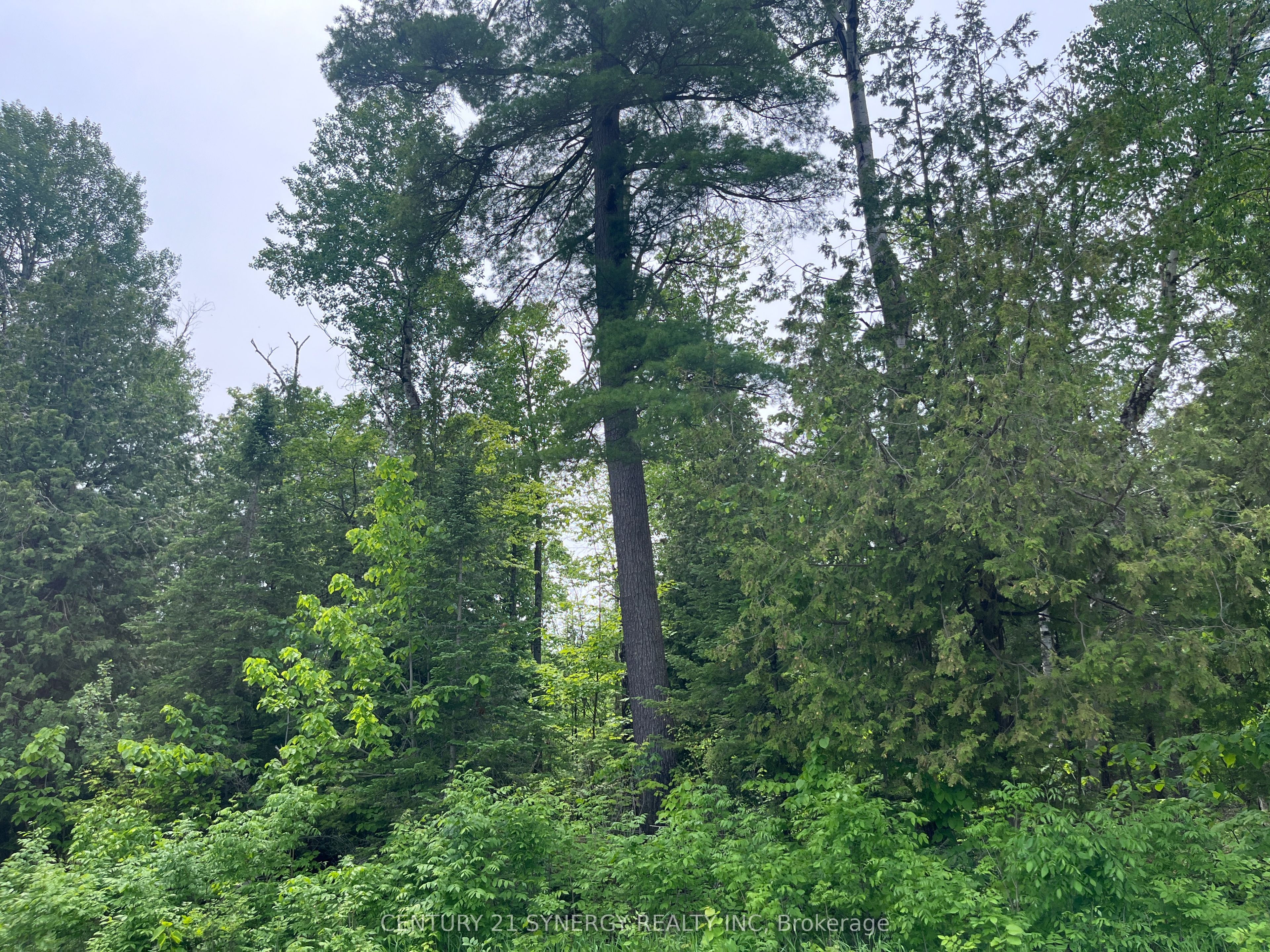00 Bellamy Road, Mcnab/Braeside, On K0a 3l0