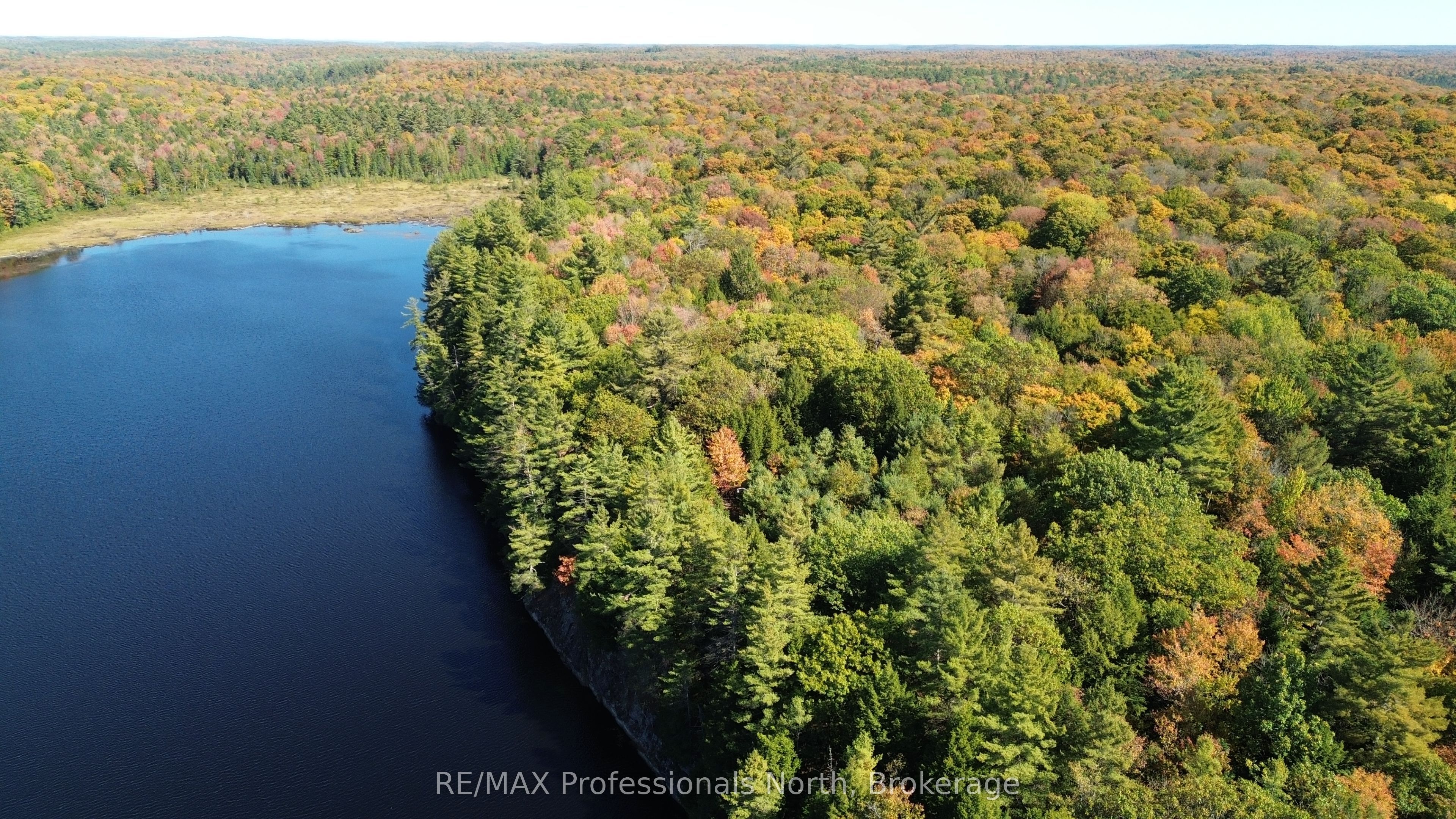 Lot 9 & 10 Concession 5, Lake Of Bays, On P0b 1a0